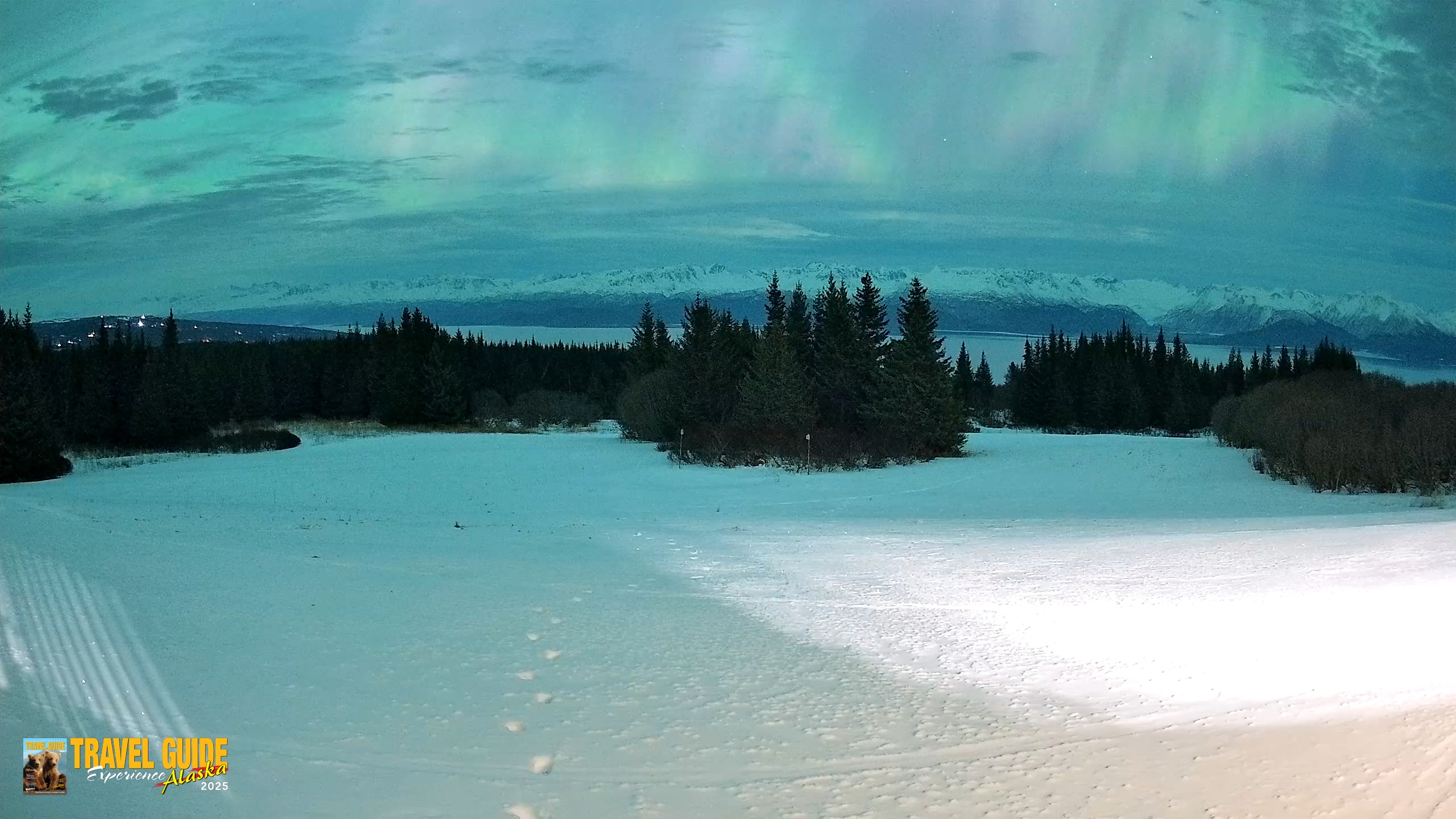 Snapshot of Homer Alaska Northern Lights Live Cam taken Jan 20, 2026, 2:01am AKST