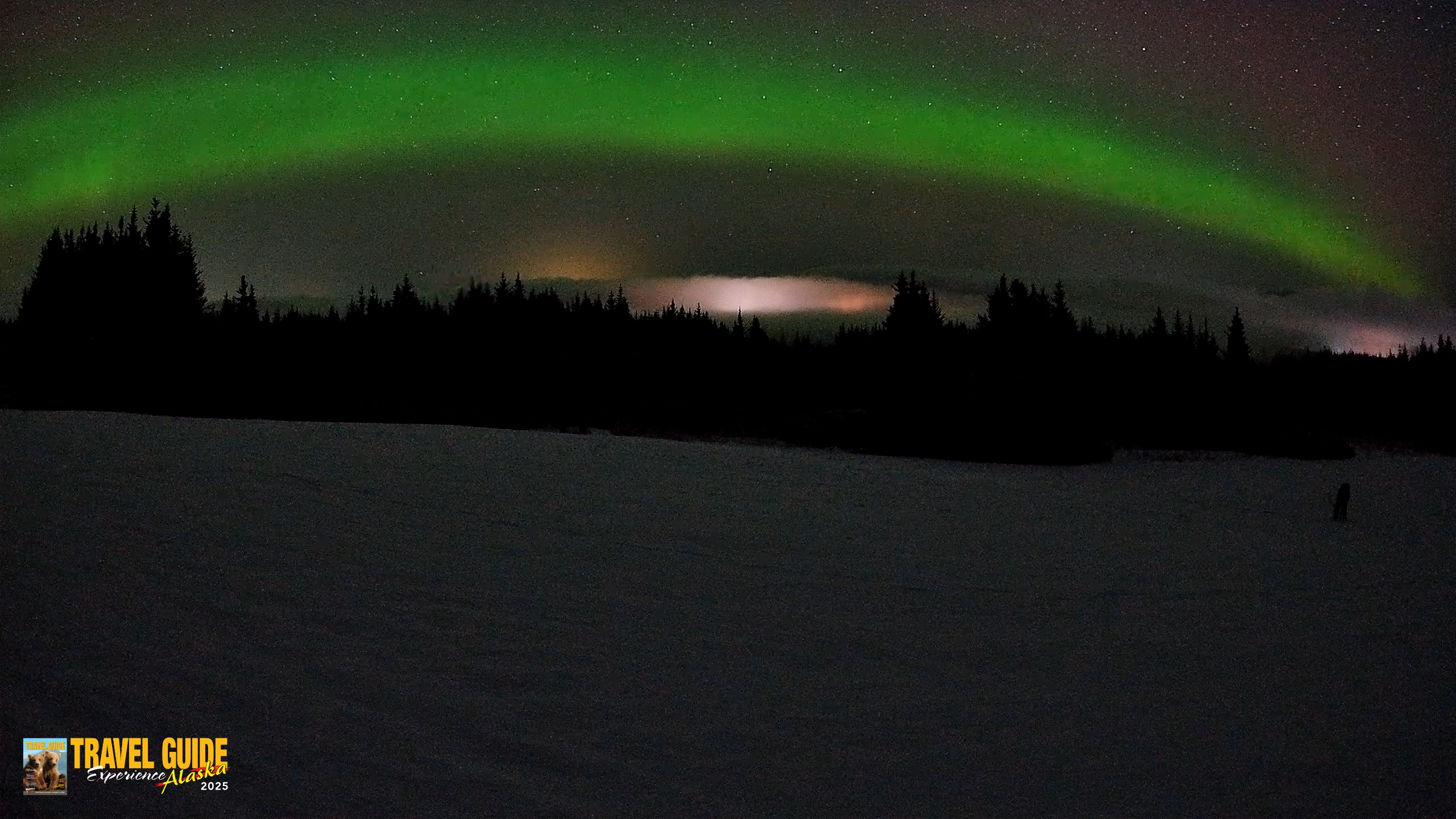 Snapshot of Homer Alaska Northern Lights Live Cam taken Feb 19, 2026, 3:20am AKST