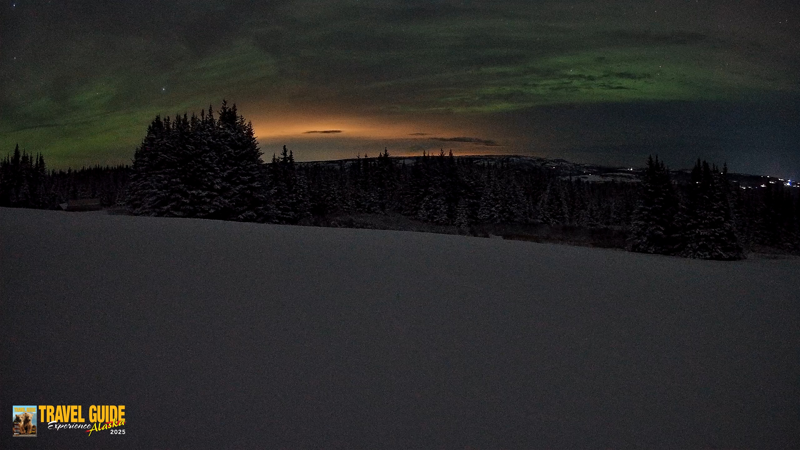 Snapshot of Homer Alaska Northern Lights Live Cam taken Jan 10, 2026, 12:01am AKST