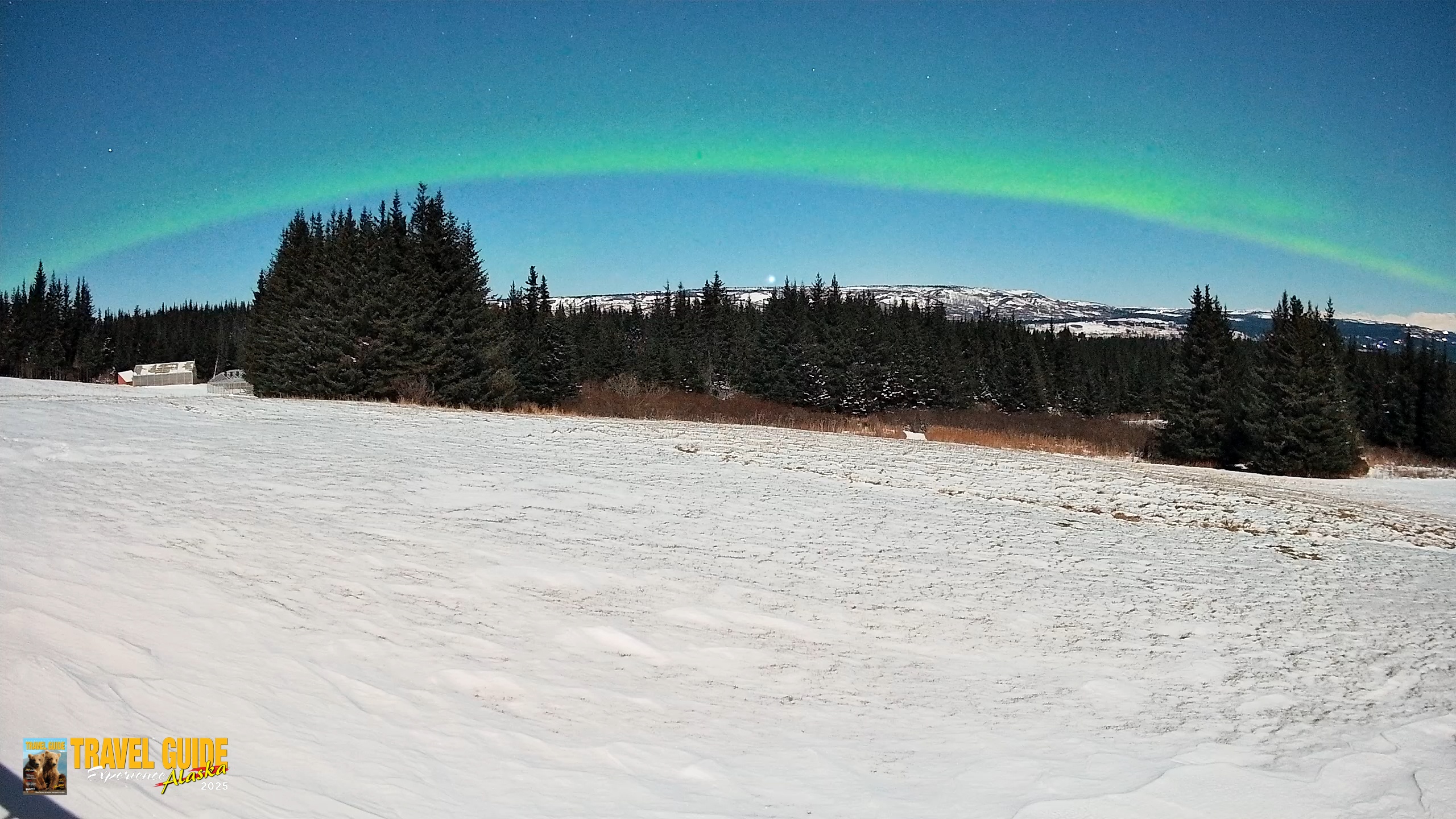 Snapshot of Homer Alaska Northern Lights Live Cam taken Dec 31, 2025, 11:53pm AKST