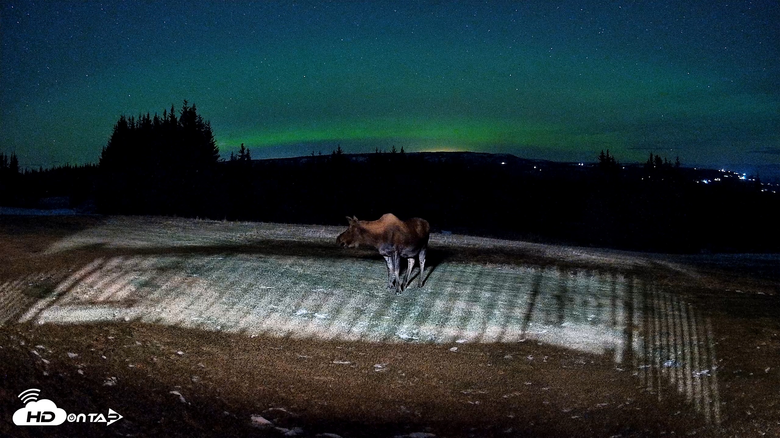 Snapshot of Homer Alaska Northern Lights Live Cam taken Dec 11, 2025, 9:51pm AKST