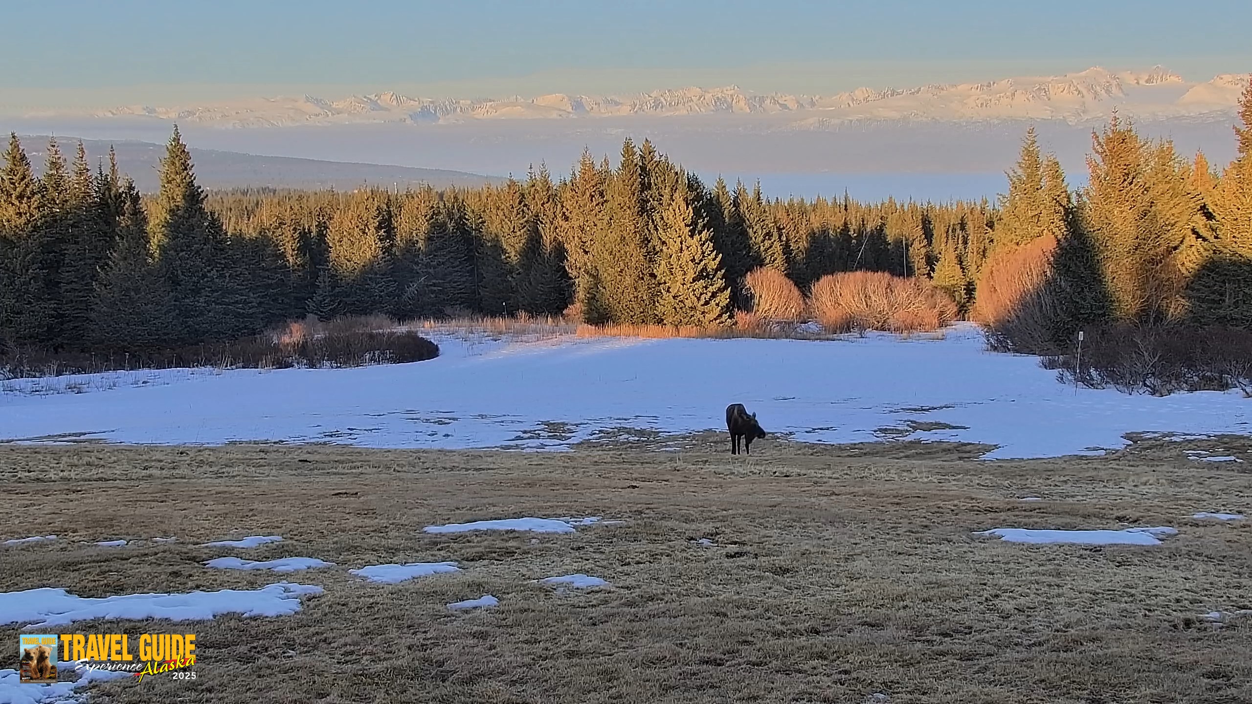 Snapshot of Homer Alaska Northern Lights Live Cam taken Apr 10, 2026, 8:11pm AKDT