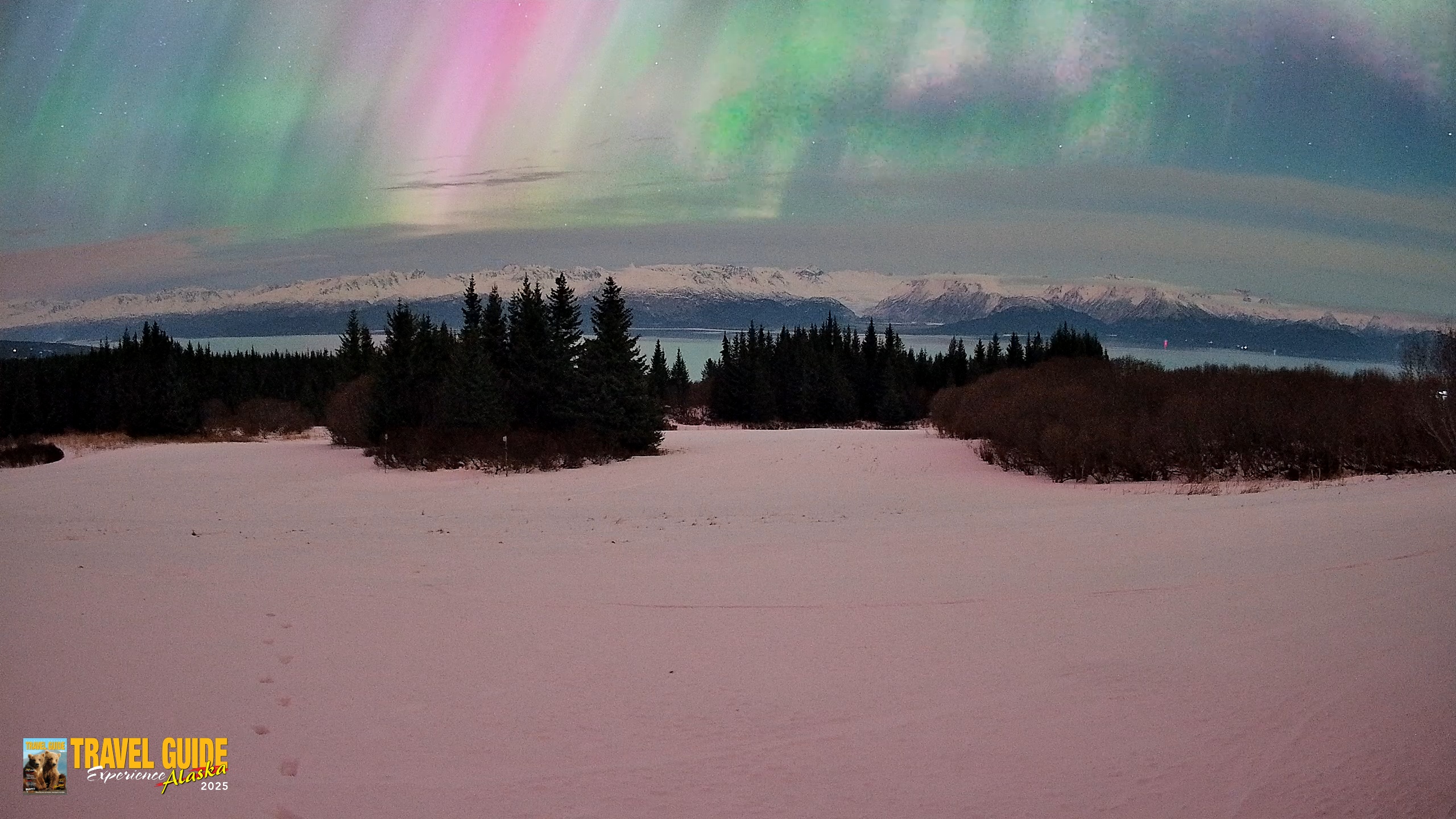 Snapshot of Homer Alaska Northern Lights Live Cam taken Jan 20, 2026, 6:22am AKST