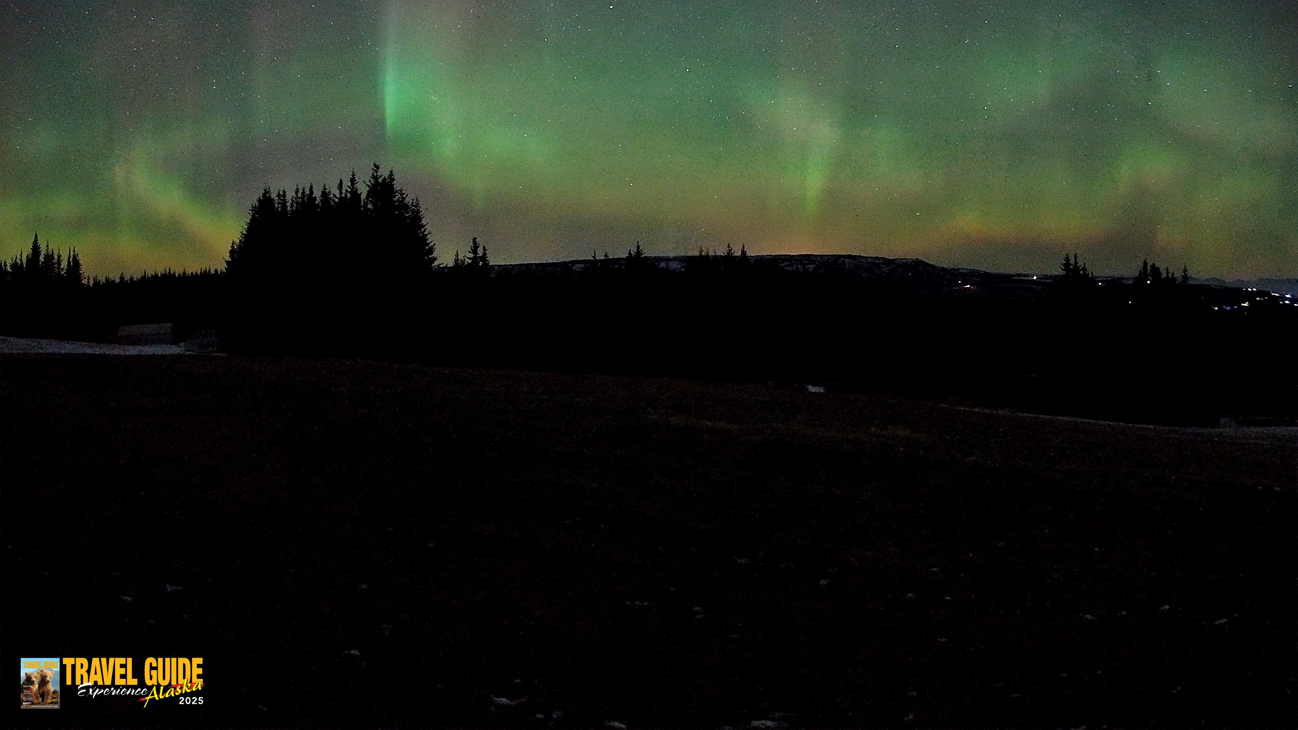 Snapshot of Homer Alaska Northern Lights Live Cam taken Dec 22, 2025, 5:13am AKST