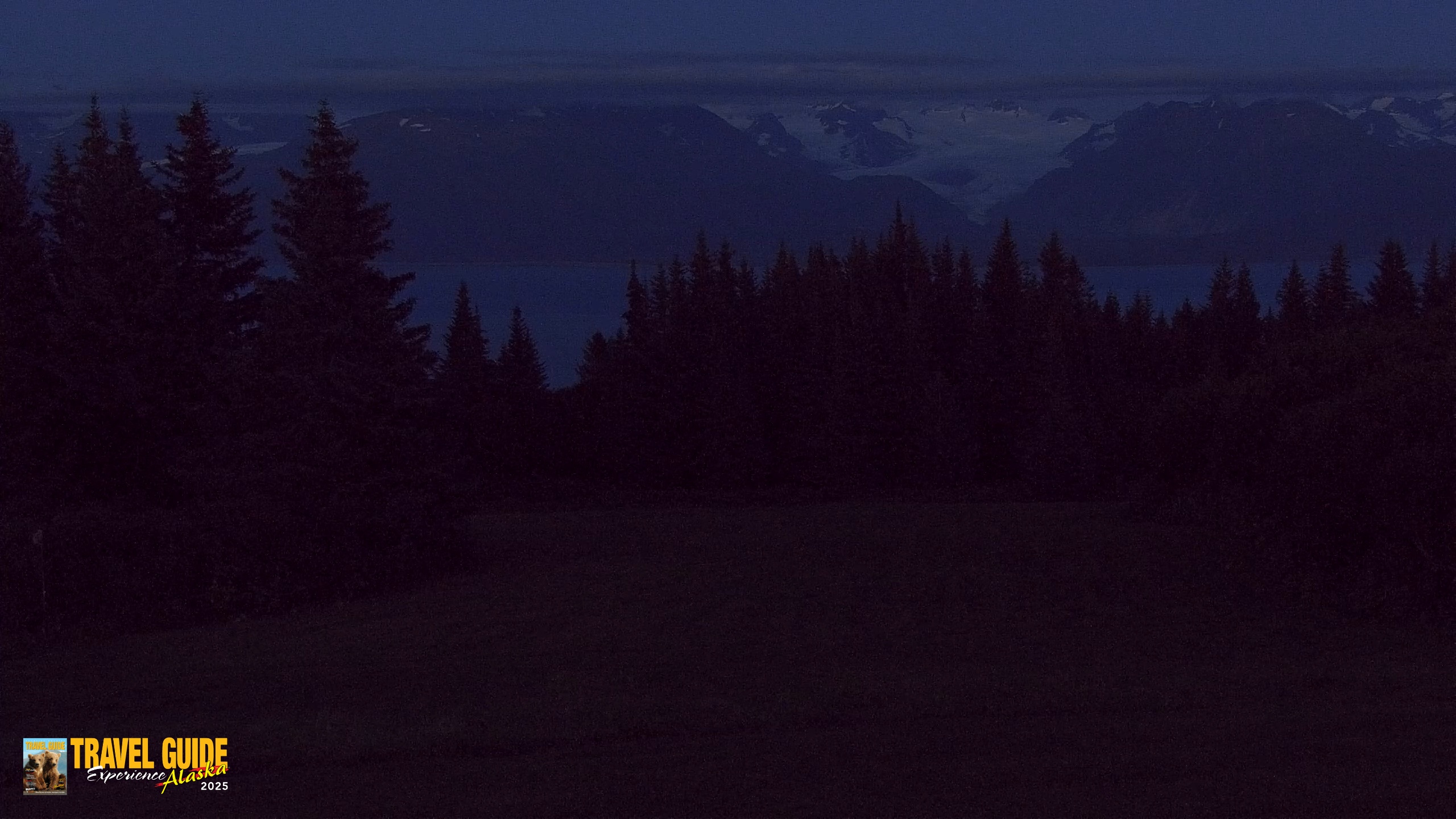 Snapshot of Homer Alaska Northern Lights Live Cam taken Aug 23, 2026, 10:22pm AKDT