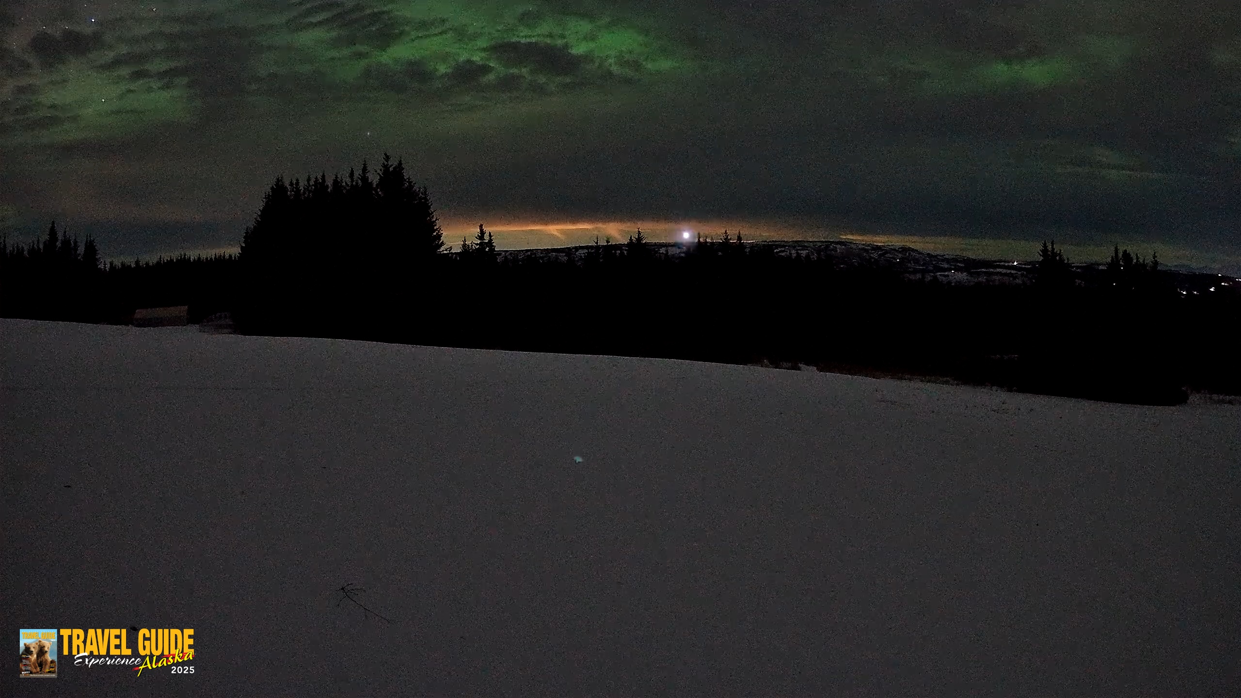 Snapshot of Homer Alaska Northern Lights Live Cam taken Jan 21, 2026, 11:41pm AKST