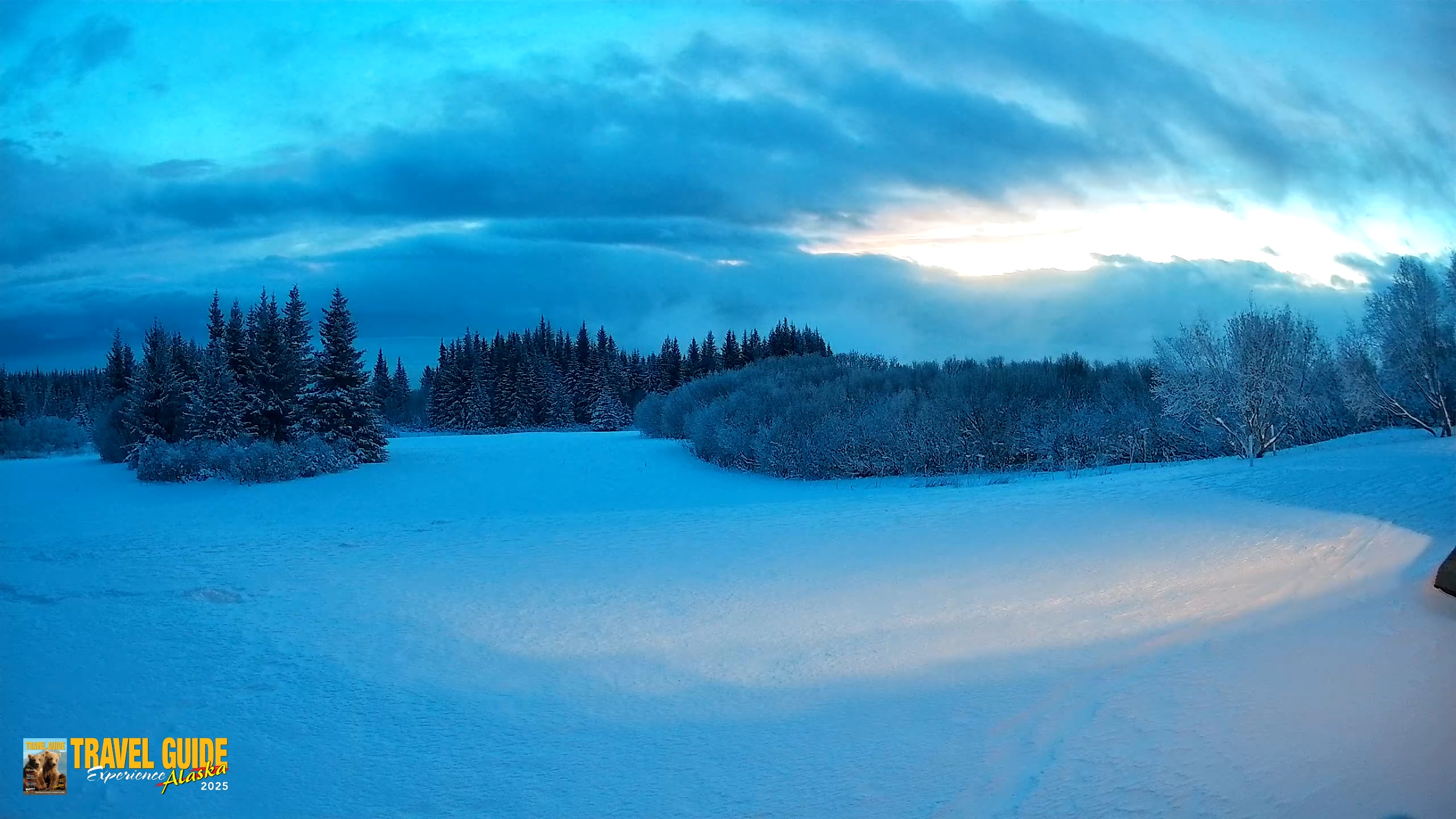Snapshot of Homer Alaska Northern Lights Live Cam taken Jan 14, 2026, 8:52am AKST