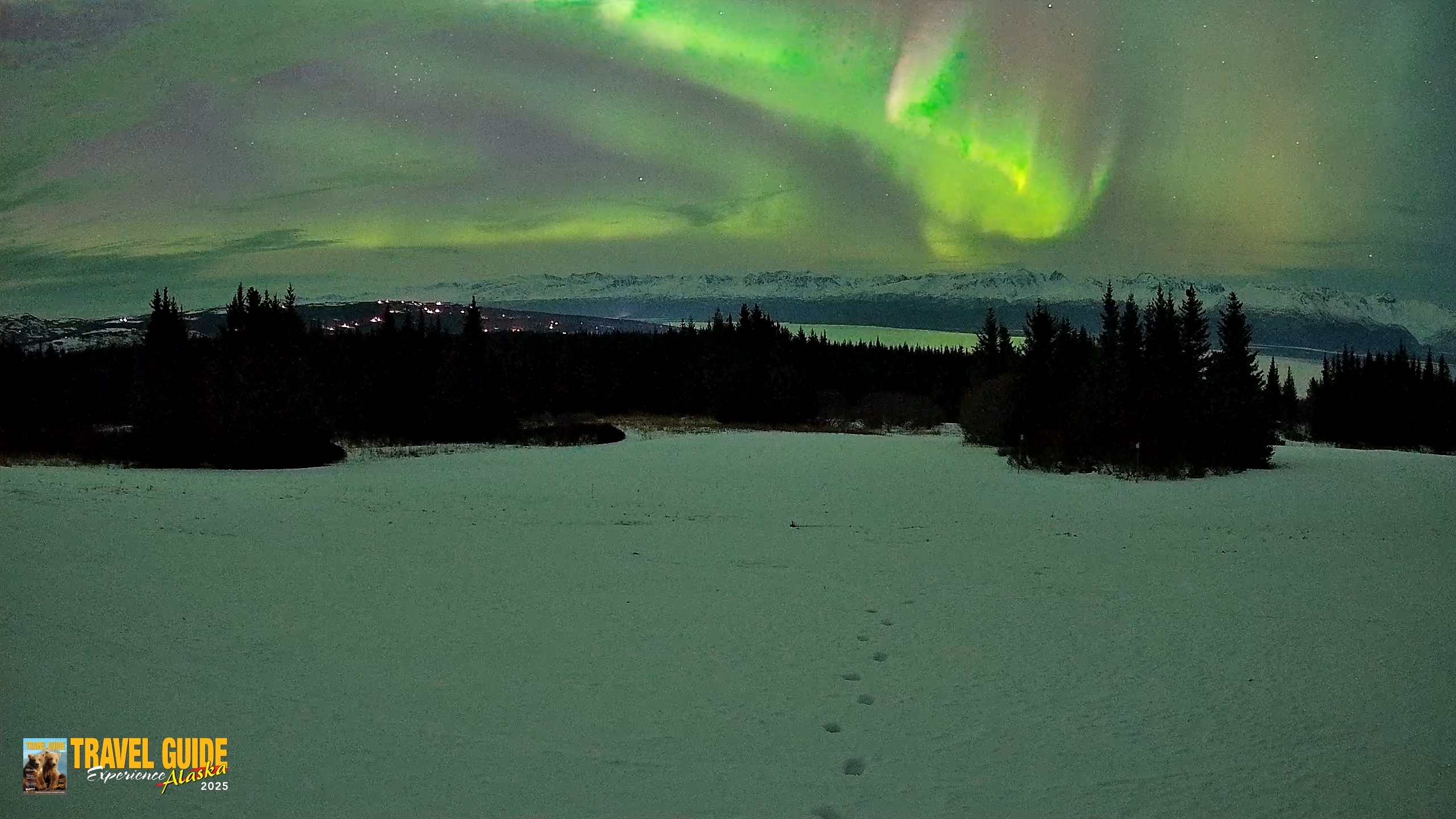 Snapshot of Homer Alaska Northern Lights Live Cam taken Jan 20, 2026, 10:06pm AKST