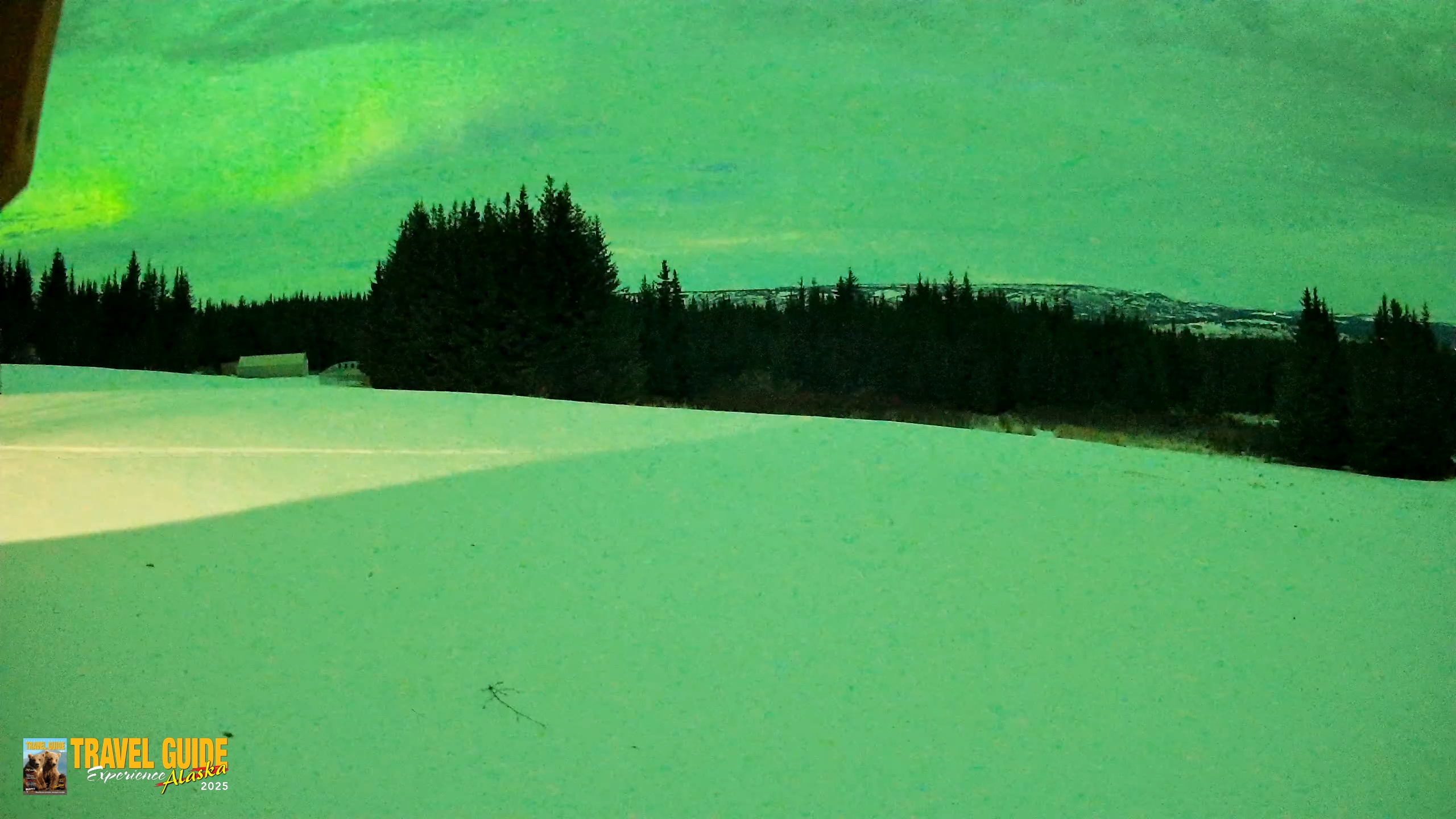 Snapshot of Homer Alaska Northern Lights Live Cam taken Jan 20, 2026, 1:08am AKST