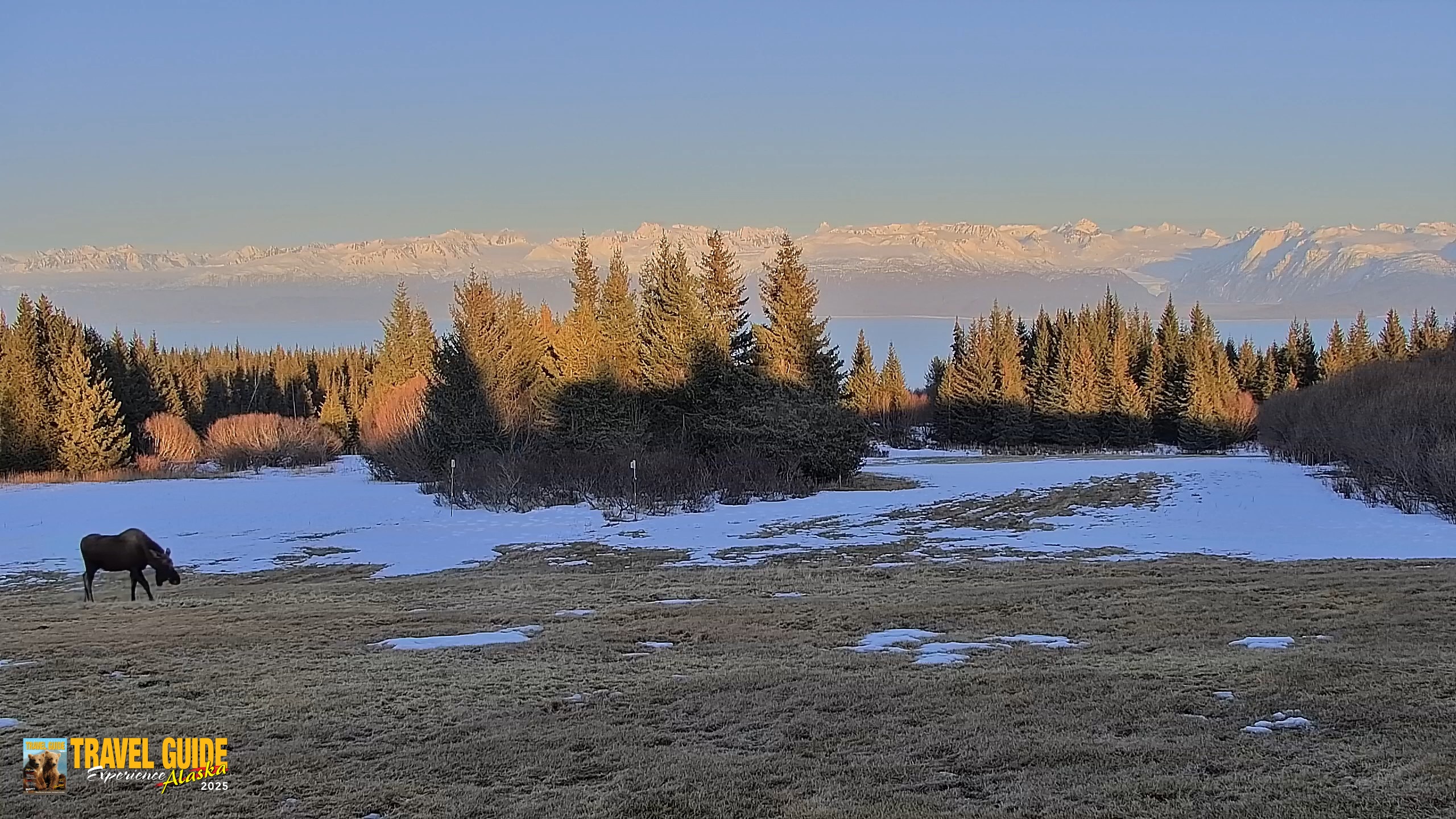 Snapshot of Homer Alaska Northern Lights Live Cam taken Apr 10, 2026, 8:14pm AKDT