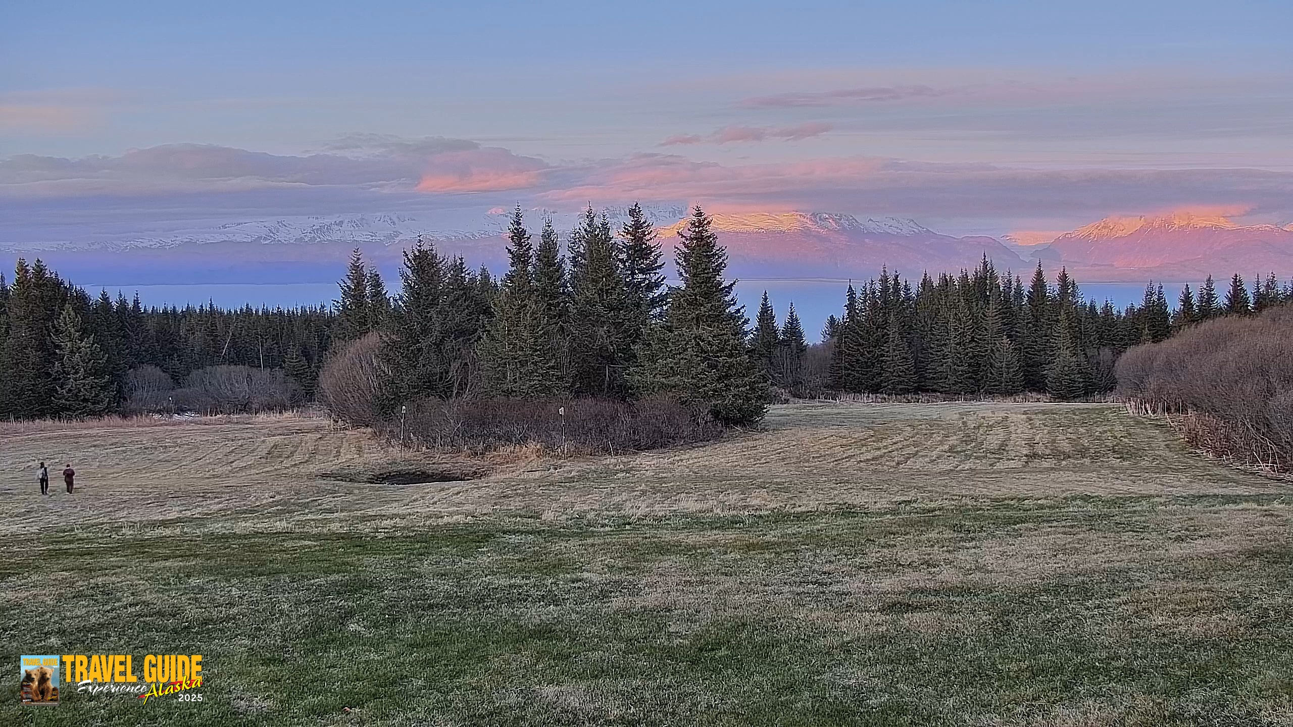 Snapshot of Homer Alaska Northern Lights Live Cam taken May 28, 2026, 10:44pm AKDT