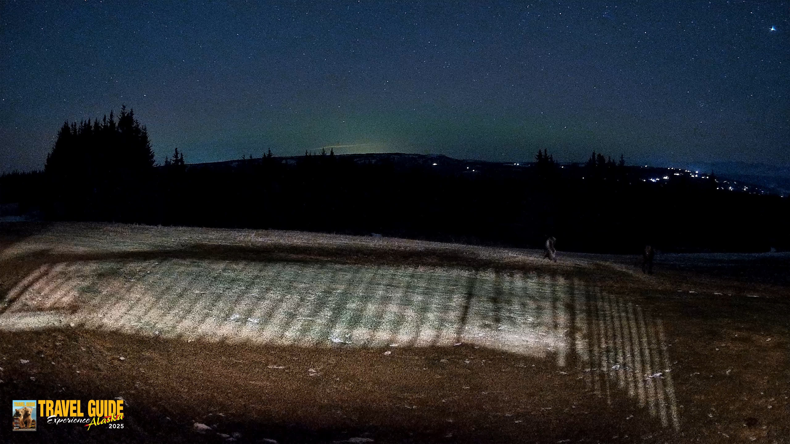Snapshot of Homer Alaska Northern Lights Live Cam taken Dec 15, 2025, 8:44pm AKST