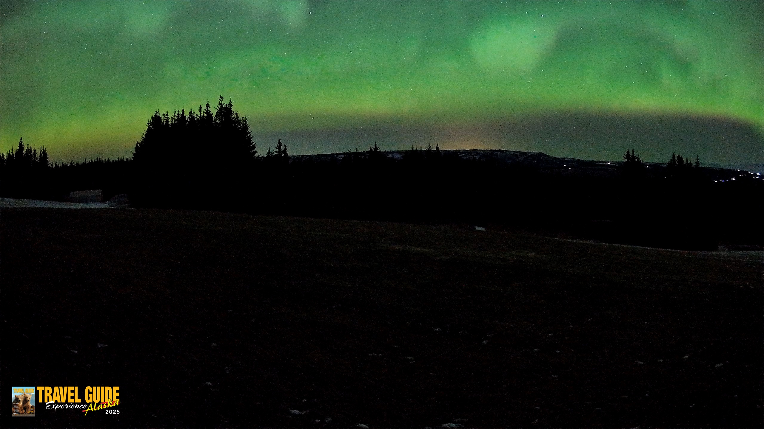 Snapshot of Homer Alaska Northern Lights Live Cam taken Dec 22, 2025, 4:44am AKST