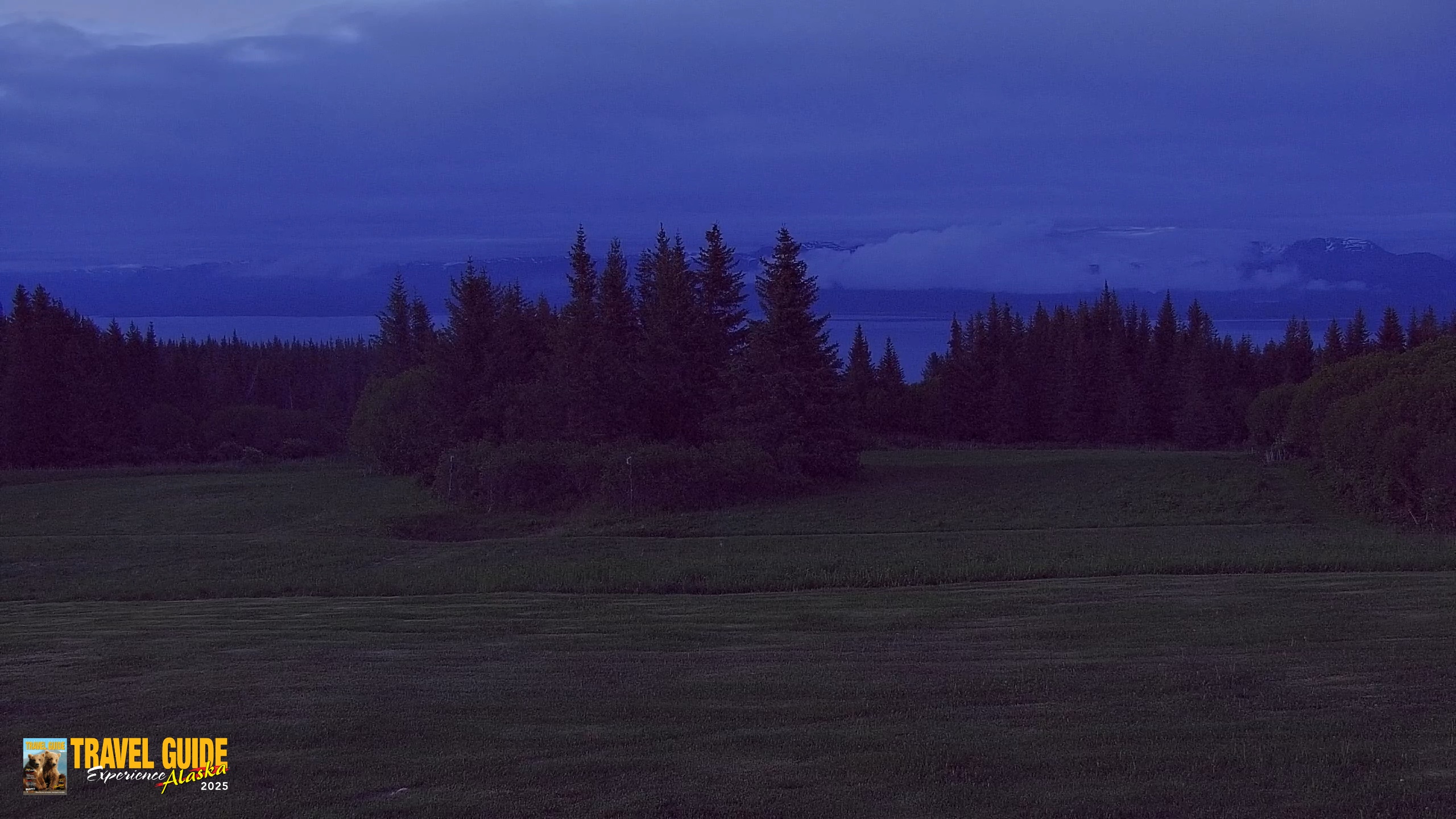 Snapshot of Homer Alaska Northern Lights Live Cam taken Jun 25, 2026, 3:42am AKDT