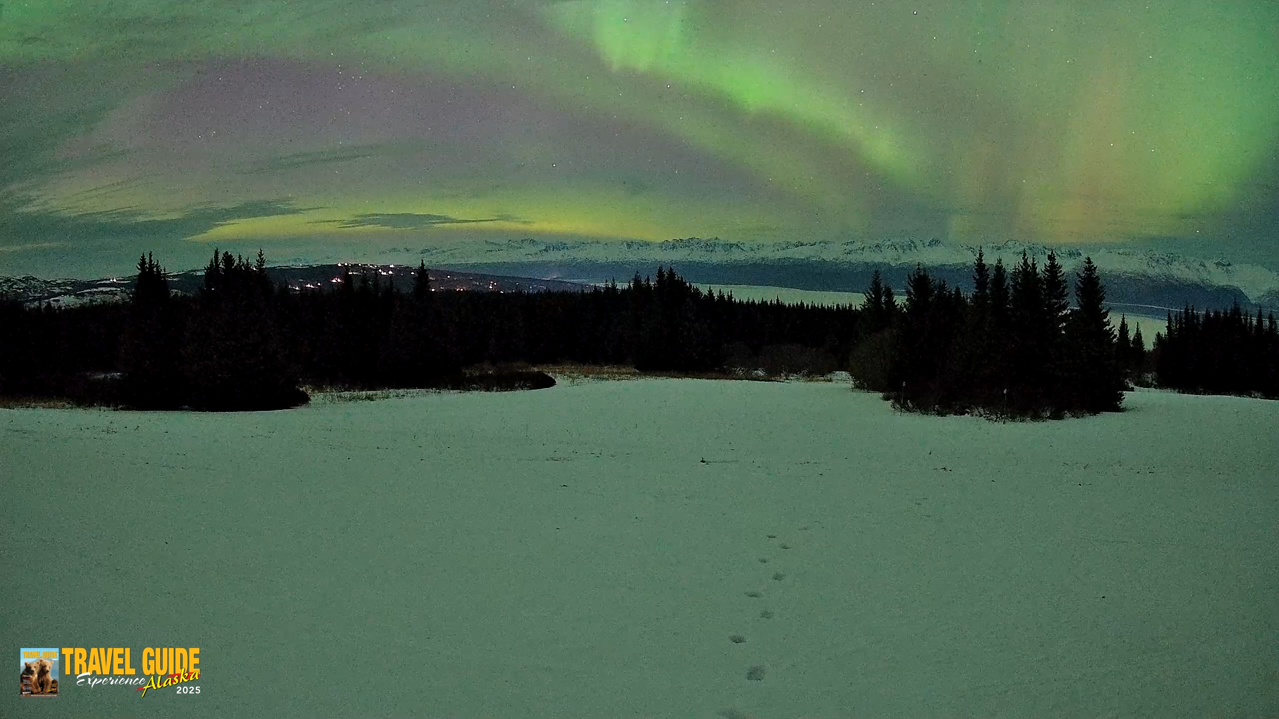 Snapshot of Homer Alaska Northern Lights Live Cam taken Jan 20, 2026, 10:02pm AKST