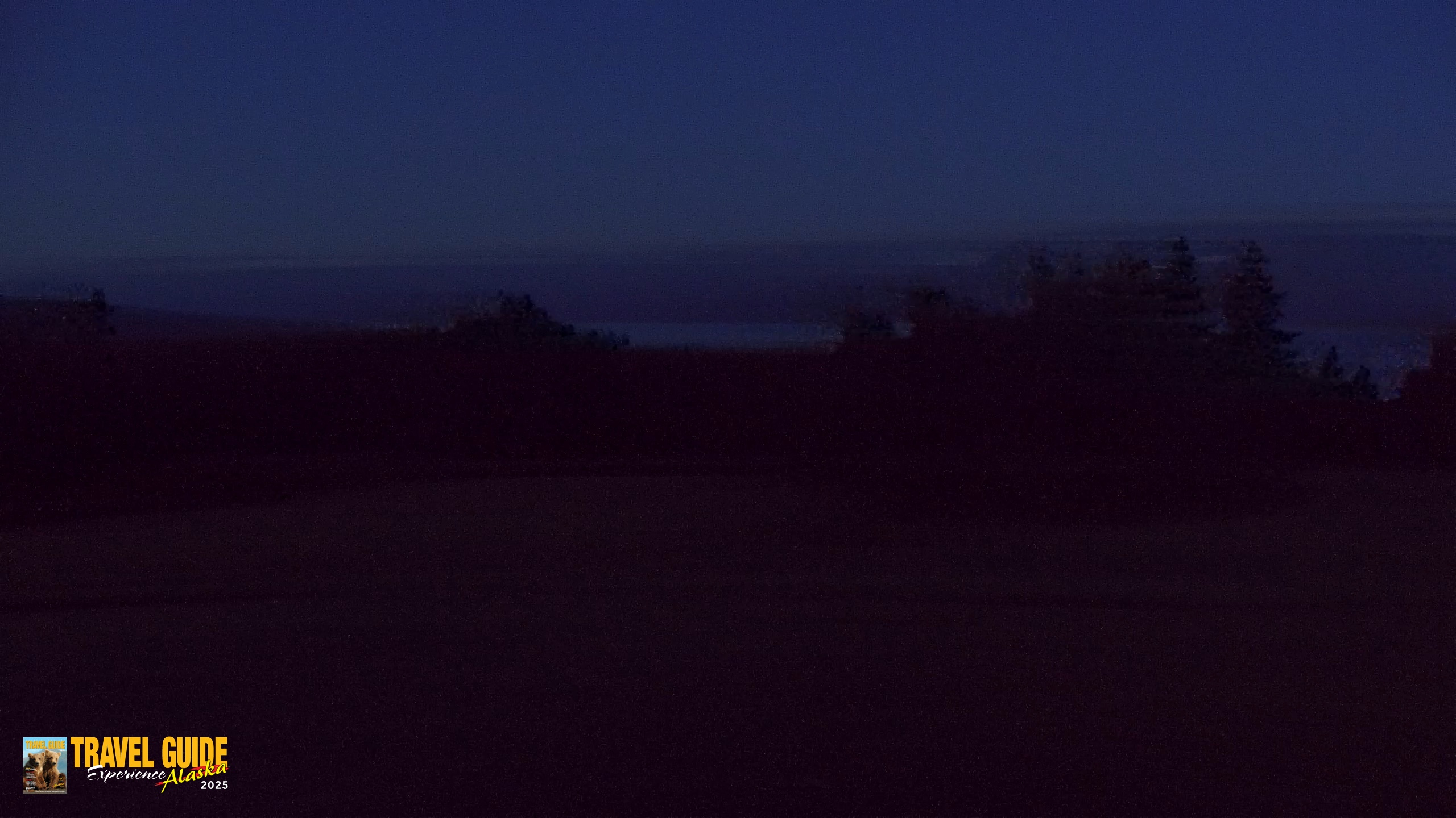 Snapshot of Homer Alaska Northern Lights Live Cam taken Aug 23, 2026, 10:23pm AKDT