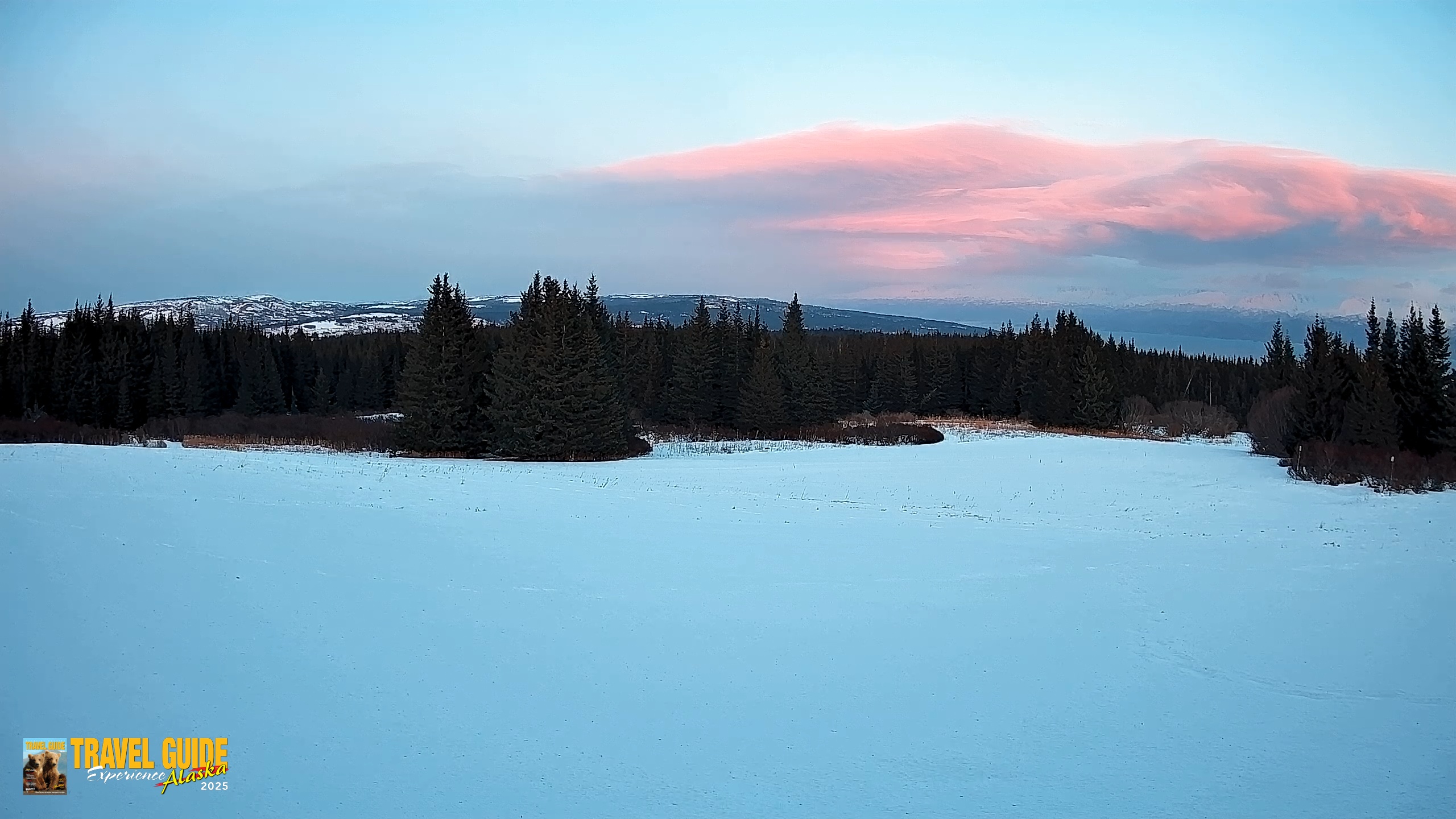 Snapshot of Homer Alaska Northern Lights Live Cam taken Feb 19, 2026, 6:08pm AKST