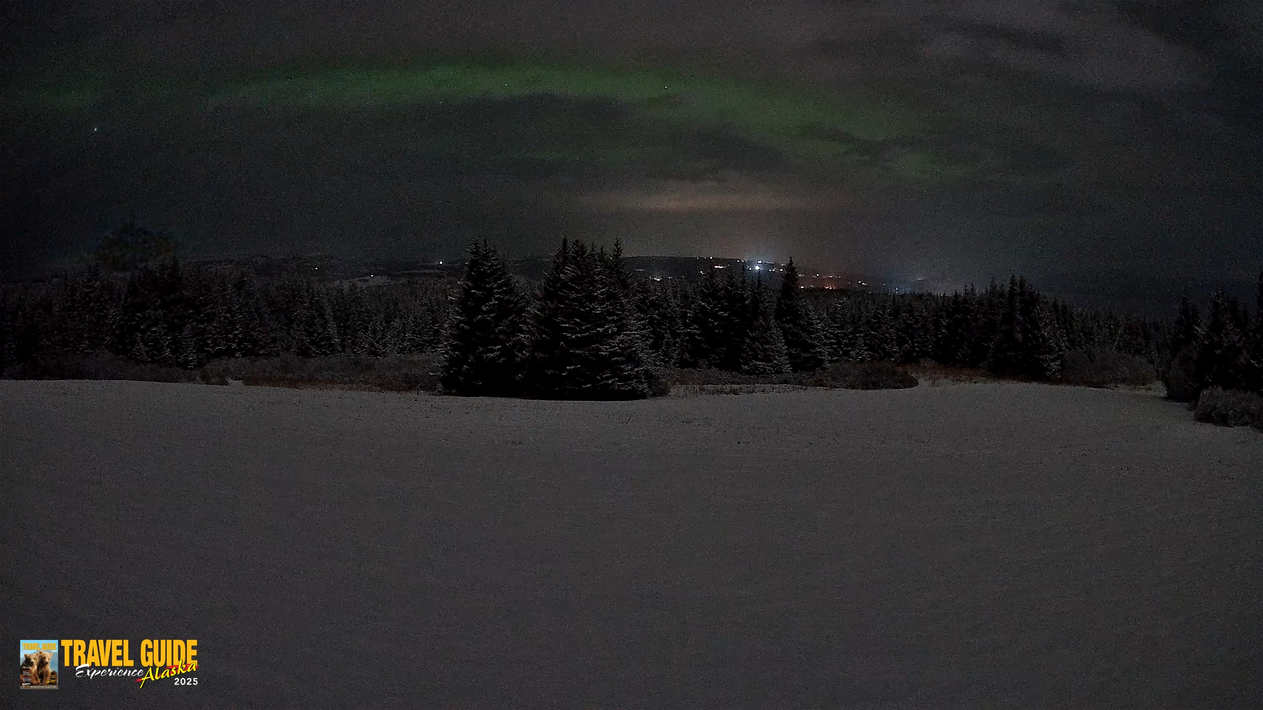 Snapshot of Homer Alaska Northern Lights Live Cam taken Feb 10, 2026, 11:45pm AKST
