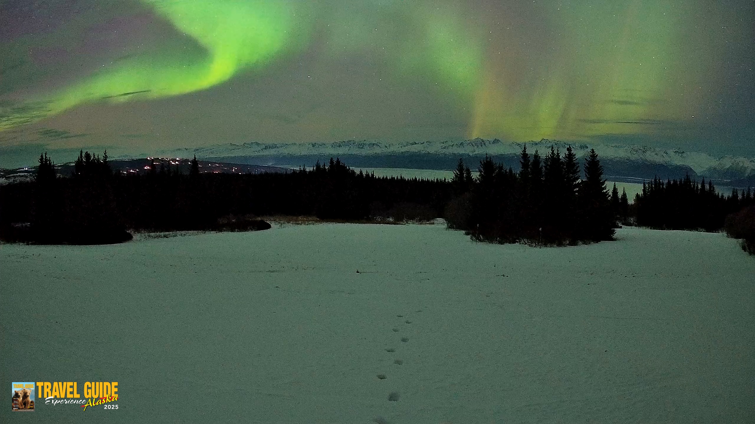 Snapshot of Homer Alaska Northern Lights Live Cam taken Jan 20, 2026, 10:20pm AKST