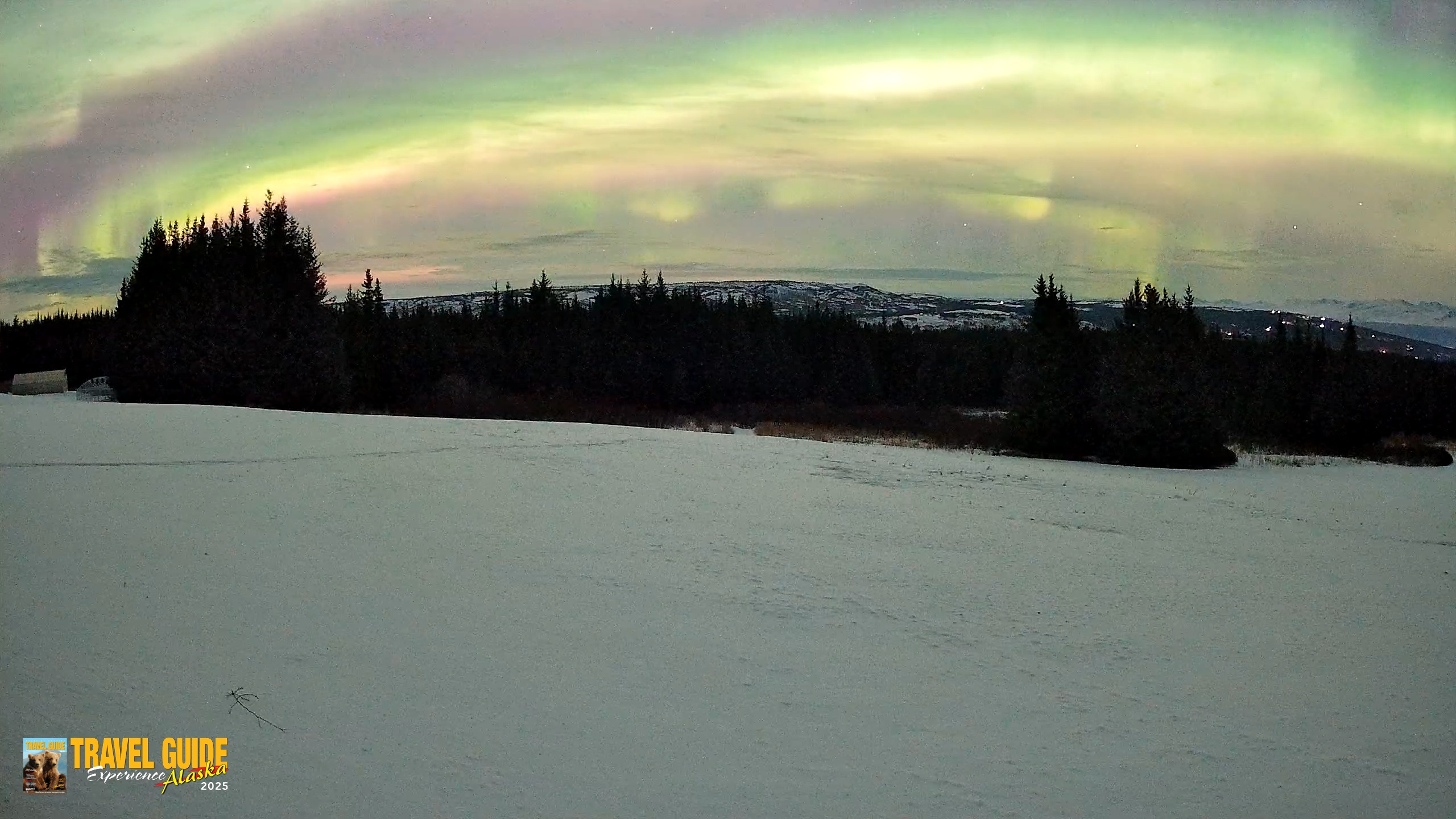 Snapshot of Homer Alaska Northern Lights Live Cam taken Jan 20, 2026, 11:44pm AKST