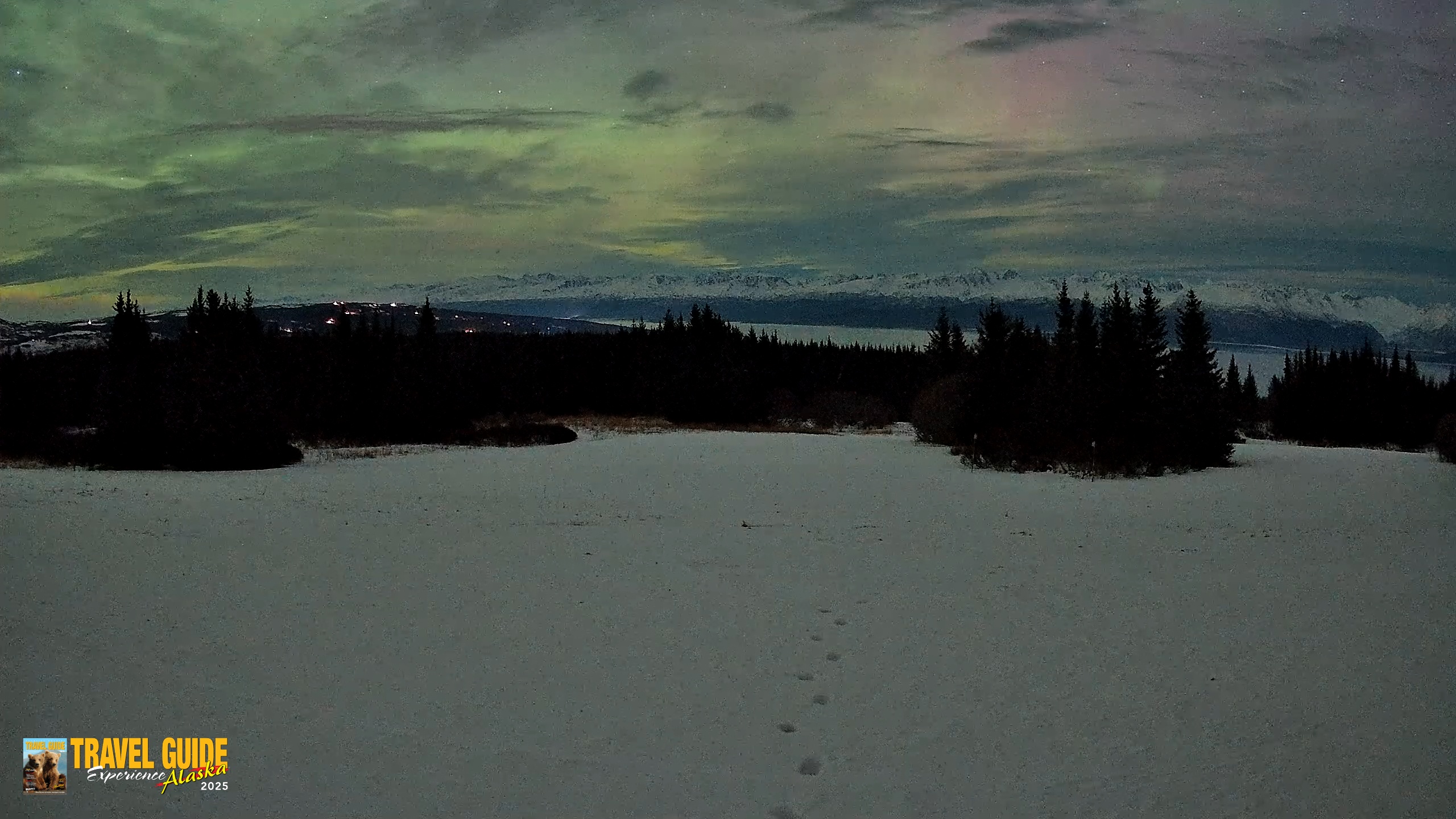 Snapshot of Homer Alaska Northern Lights Live Cam taken Jan 21, 2026, 2:38am AKST
