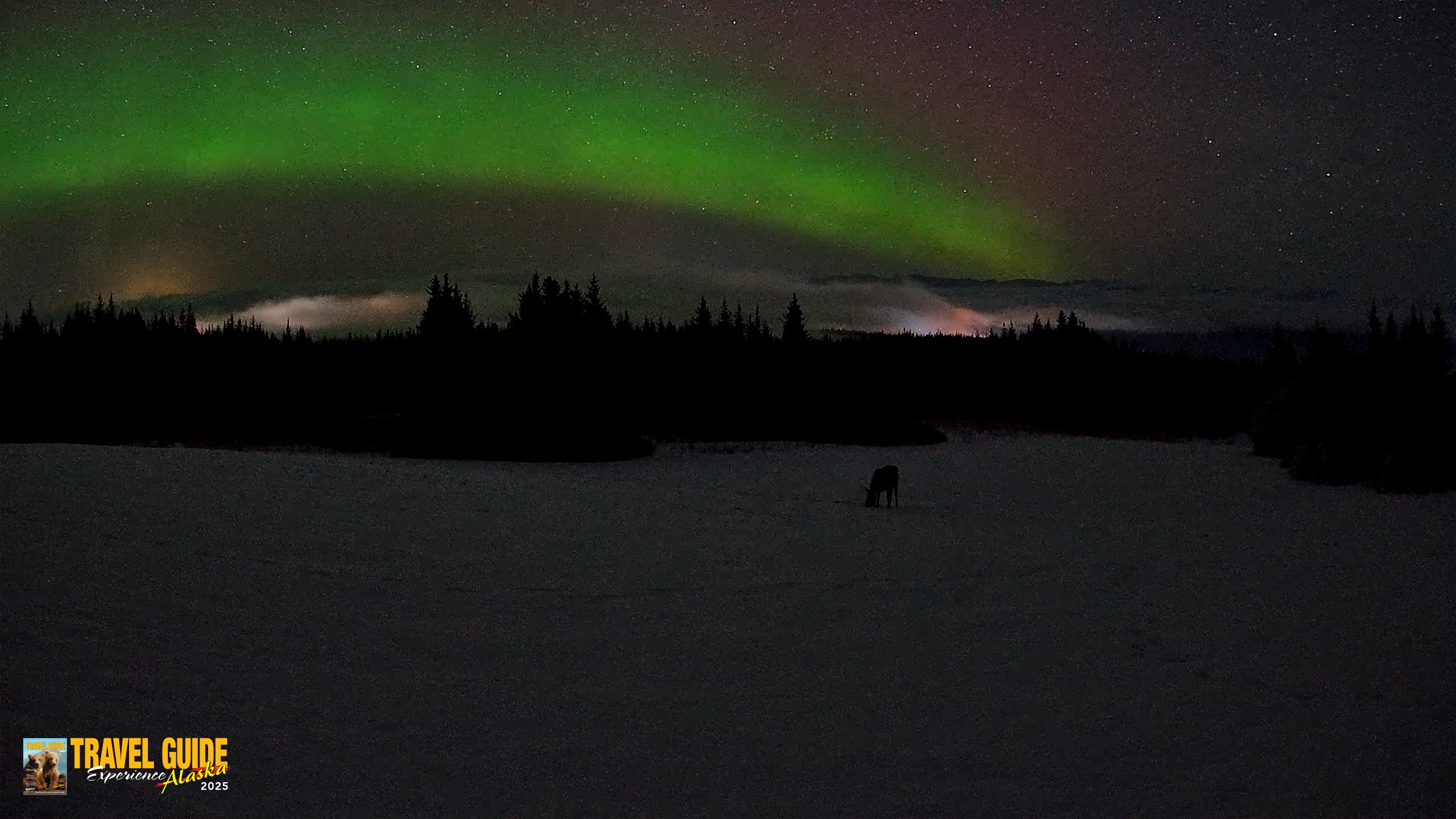 Snapshot of Homer Alaska Northern Lights Live Cam taken Feb 19, 2026, 3:27am AKST