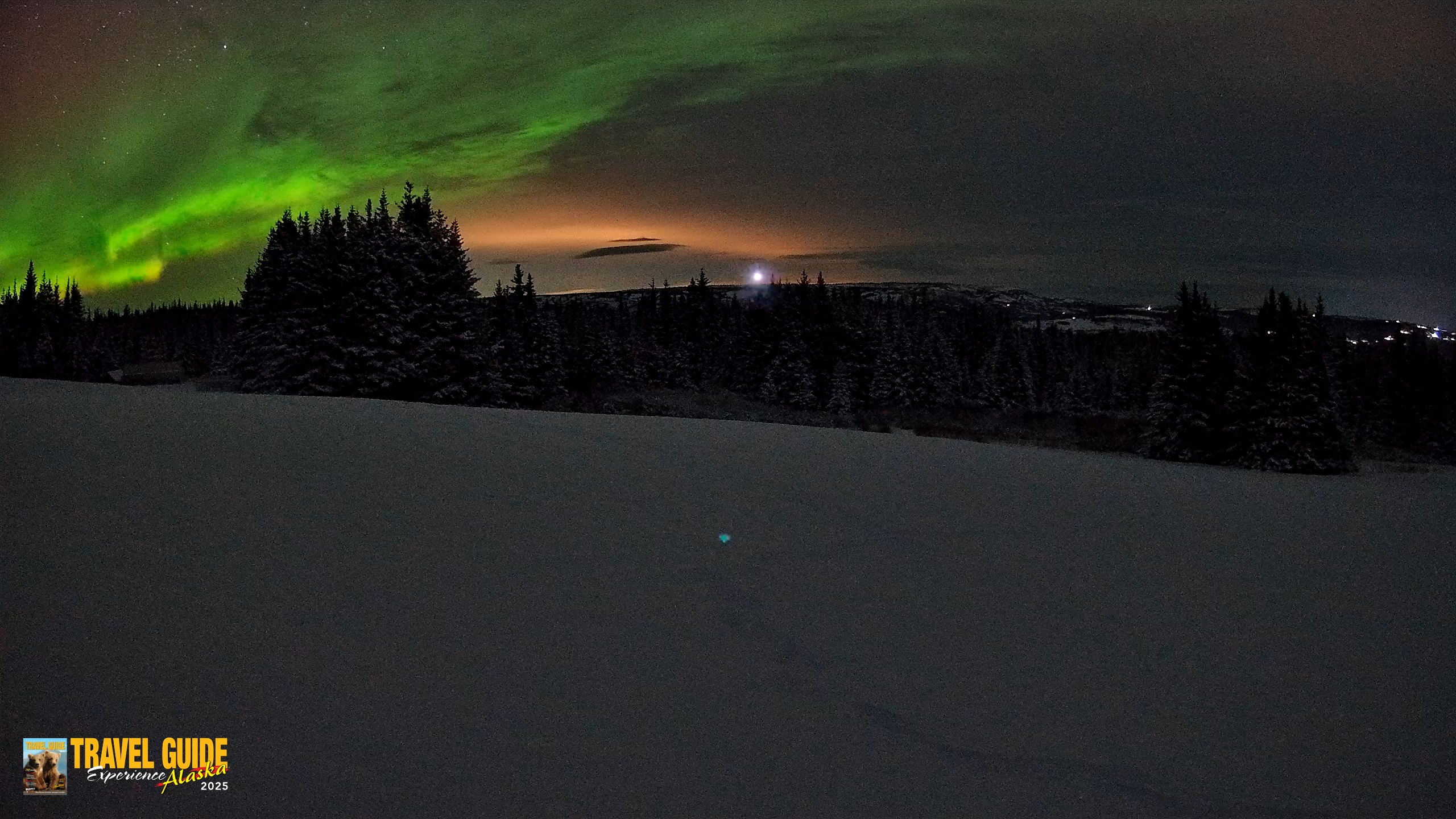 Snapshot of Homer Alaska Northern Lights Live Cam taken Jan 10, 2026, 10:08am AKST