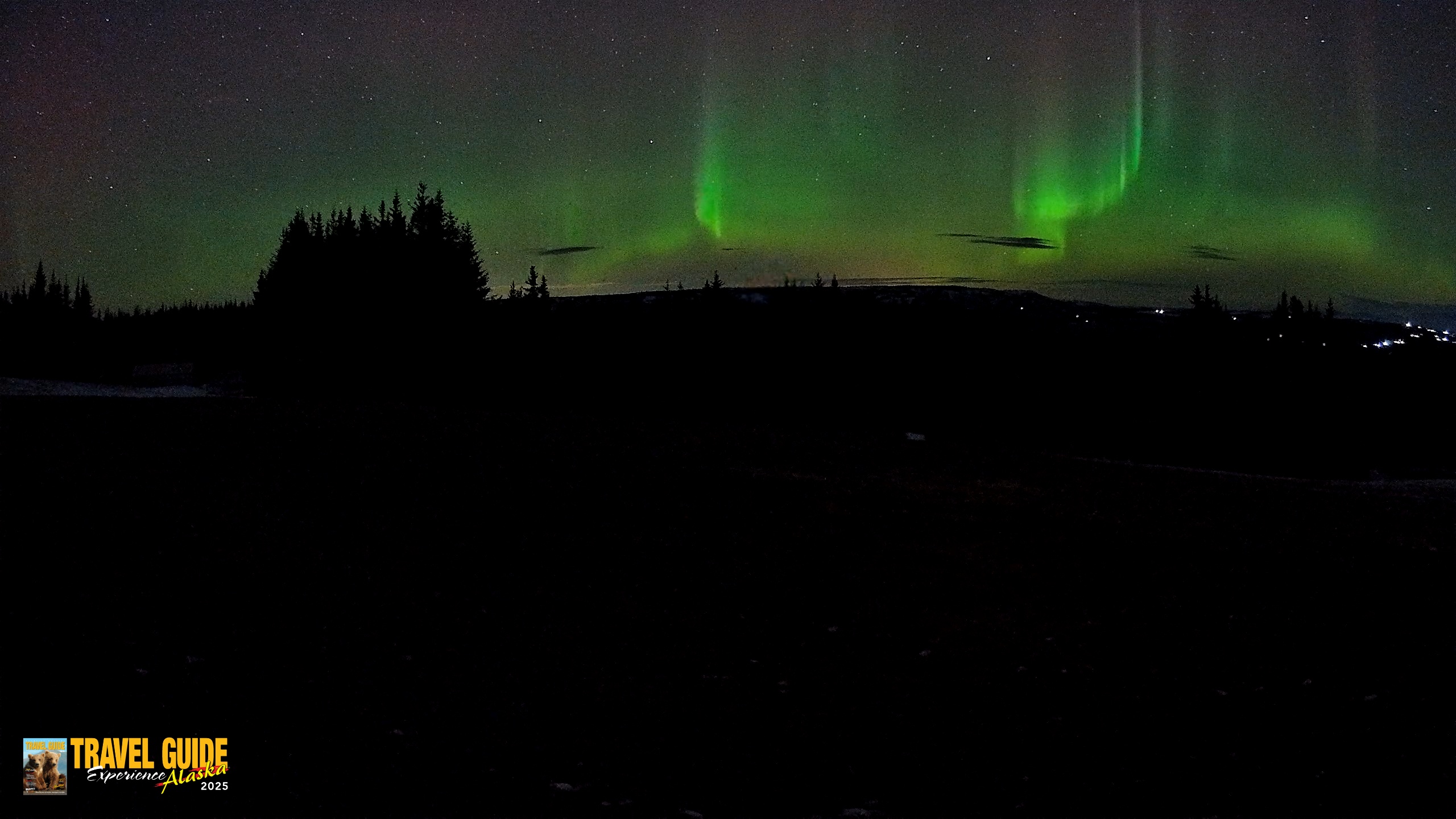 Snapshot of Homer Alaska Northern Lights Live Cam taken Dec 22, 2025, 10:46pm AKST