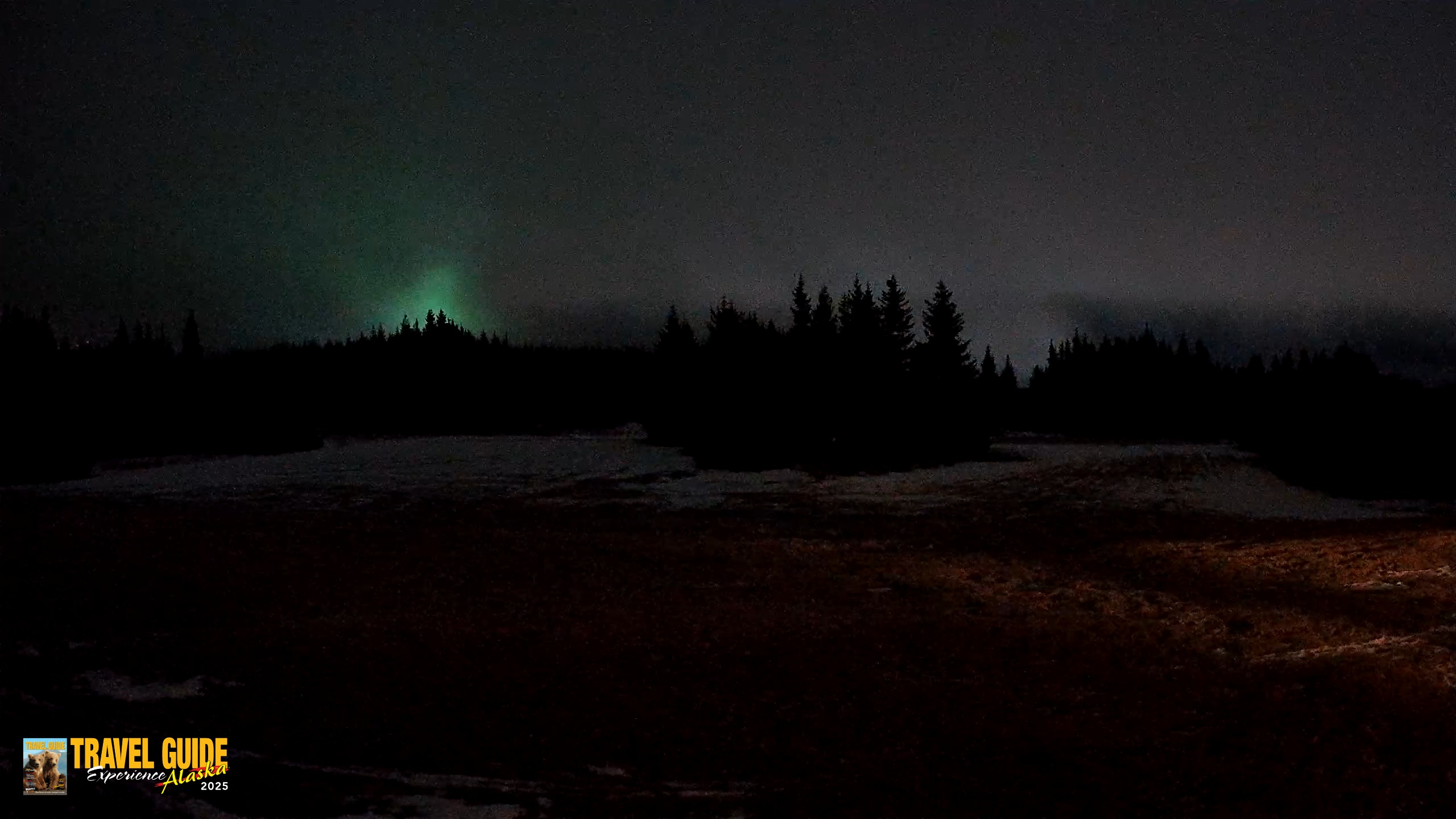 Snapshot of Homer Alaska Northern Lights Live Cam taken Feb 8, 2026, 10:02pm AKST