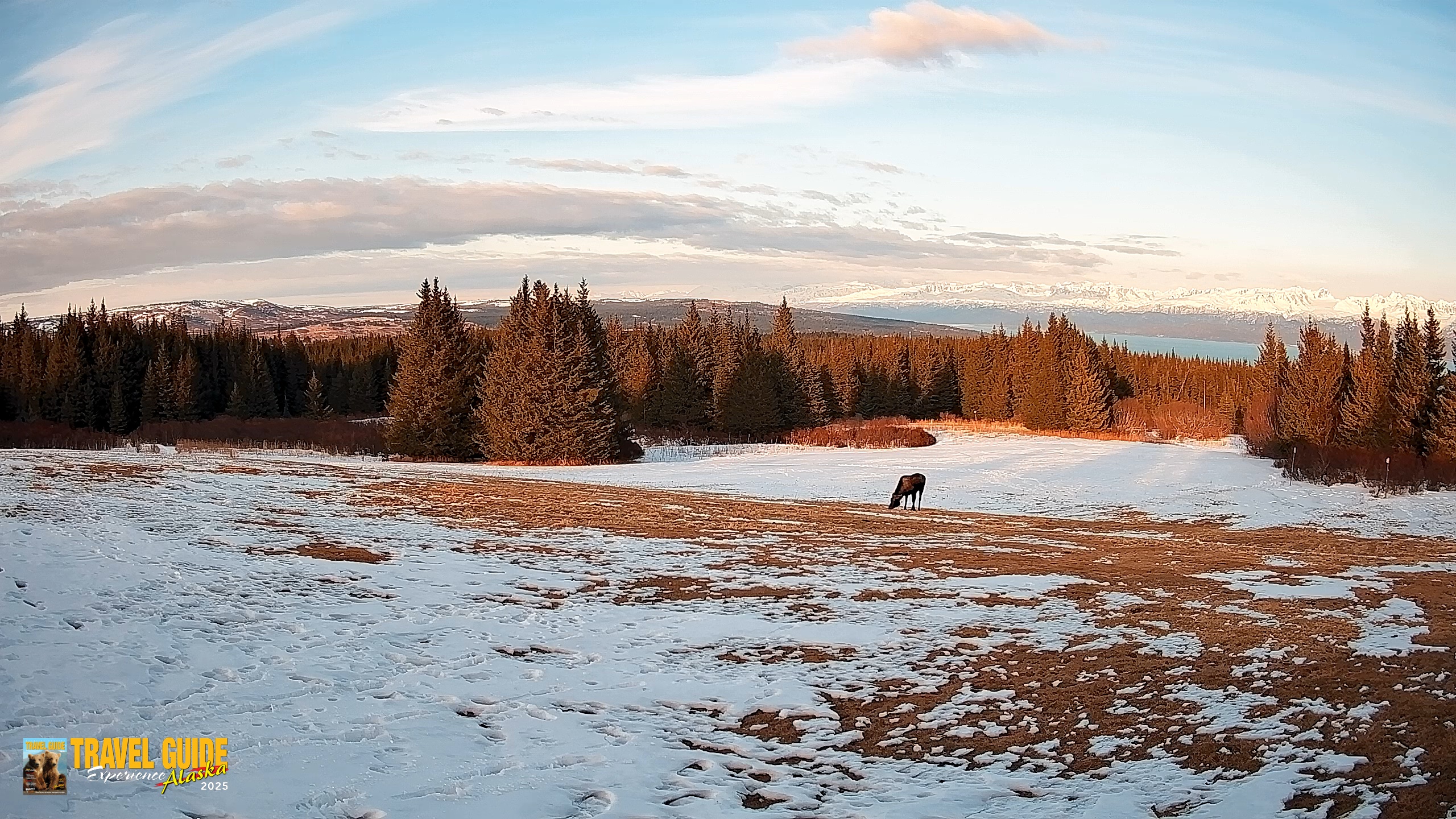 Snapshot of Homer Alaska Northern Lights Live Cam taken Apr 3, 2026, 7:40pm AKDT