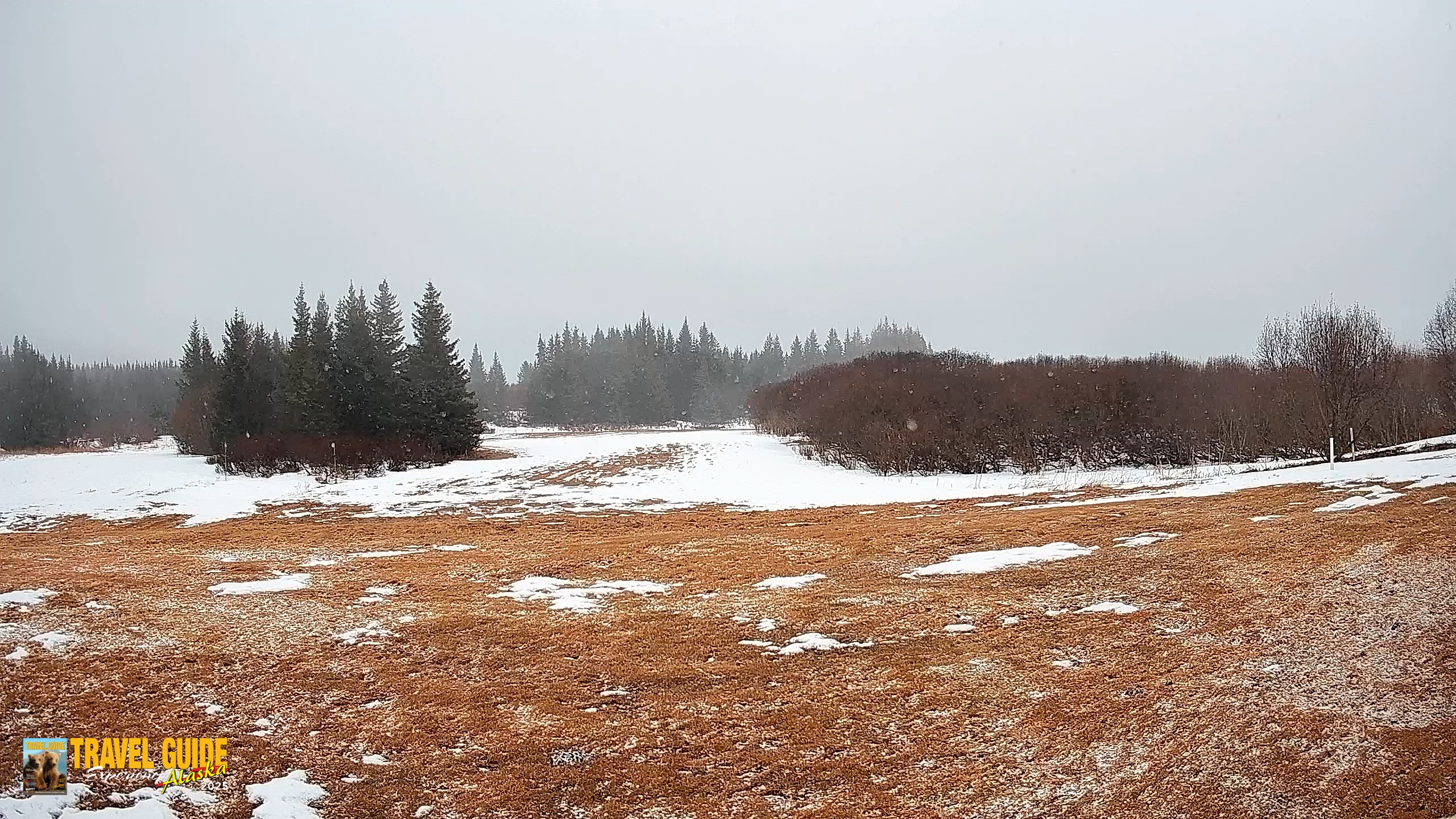 Snapshot of Homer Alaska Northern Lights Live Cam taken Apr 10, 2026, 12:24pm AKDT