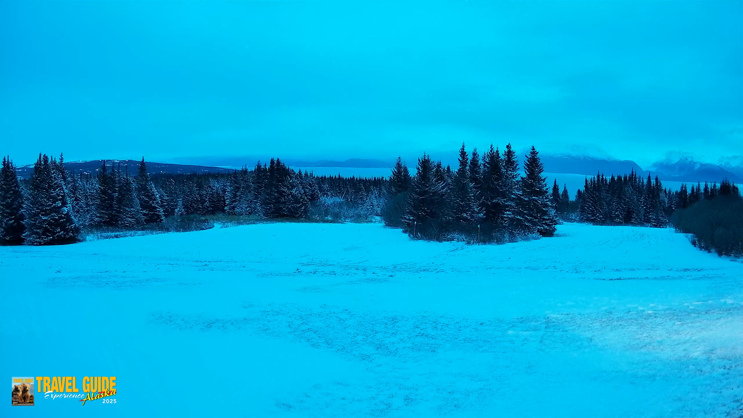 Snapshot of Homer Alaska Northern Lights Live Cam taken Dec 27, 2025, 9:22am AKST