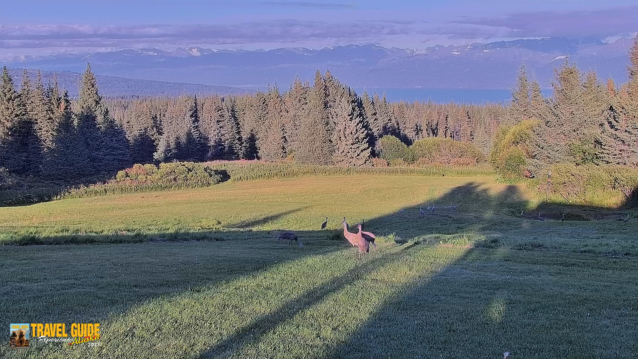 Snapshot of Homer Alaska Northern Lights Live Cam taken Aug 26, 2026, 7:50pm AKDT