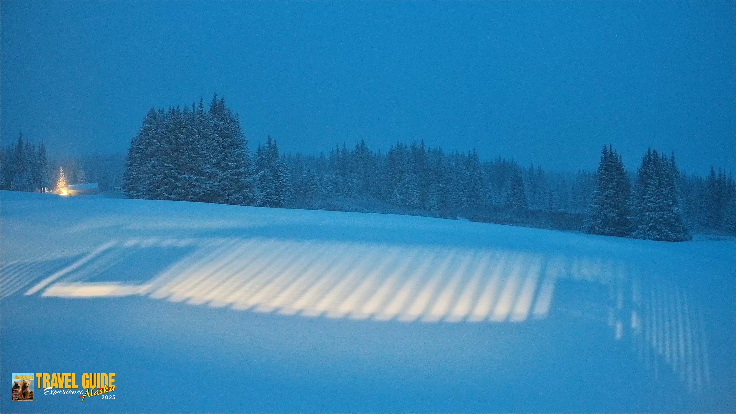 Snapshot of Homer Alaska Northern Lights Live Cam taken Jan 6, 2026, 10:05pm AKST