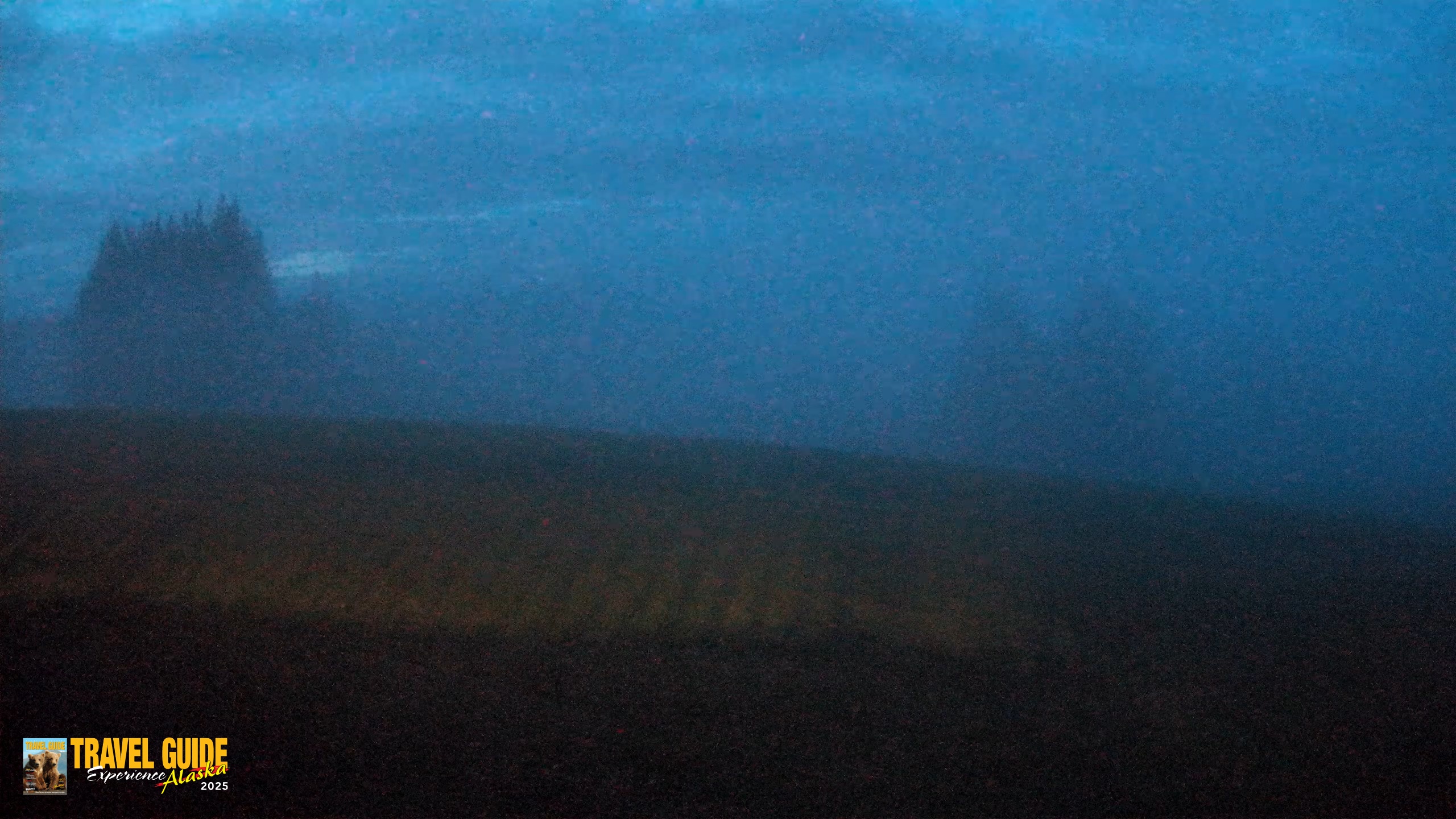 Snapshot of Homer Alaska Northern Lights Live Cam taken Sep 20, 2026, 9:03pm AKDT