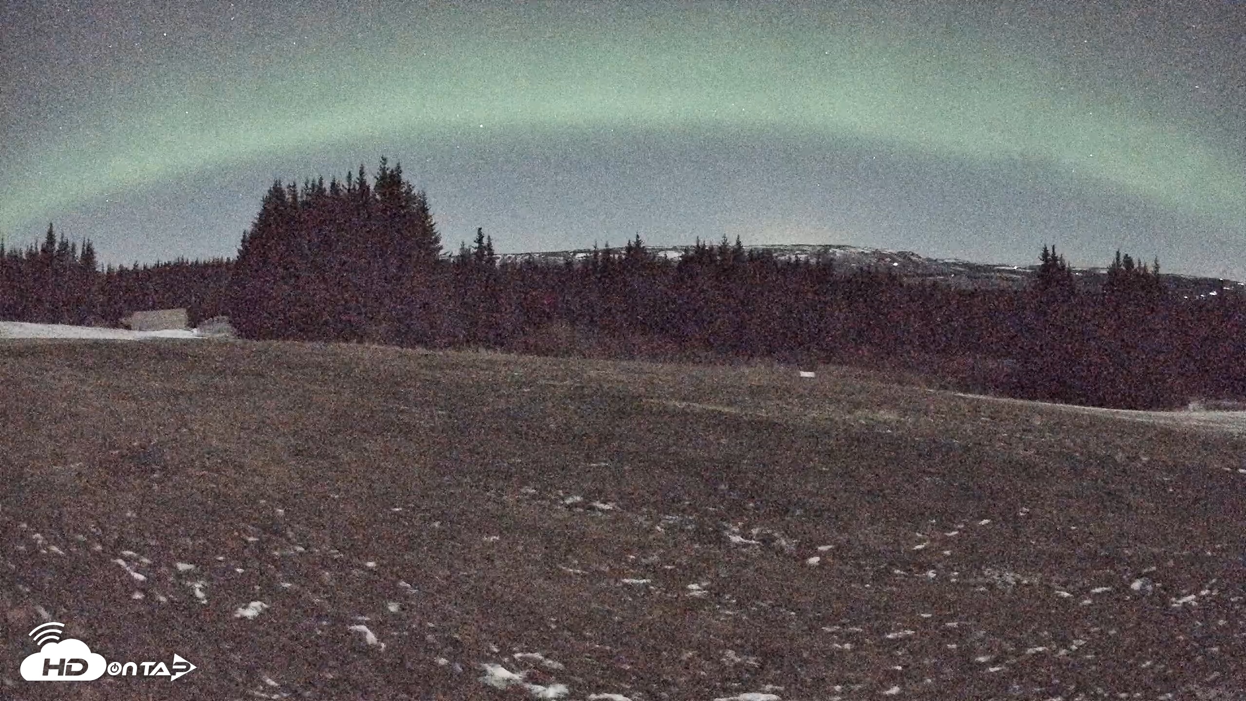 Snapshot of Homer Alaska Northern Lights Live Cam taken Dec 10, 2025, 3:07am AKST
