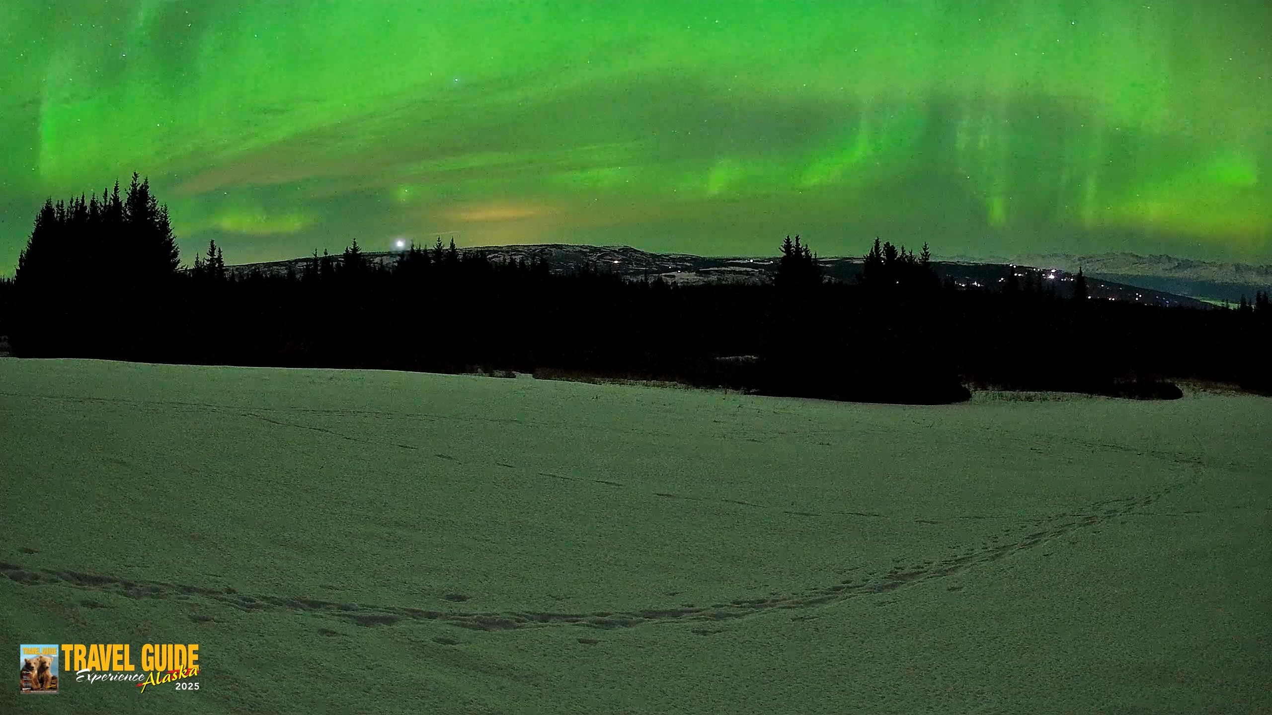 Snapshot of Homer Alaska Northern Lights Live Cam taken Feb 21, 2026, 11:39pm AKST