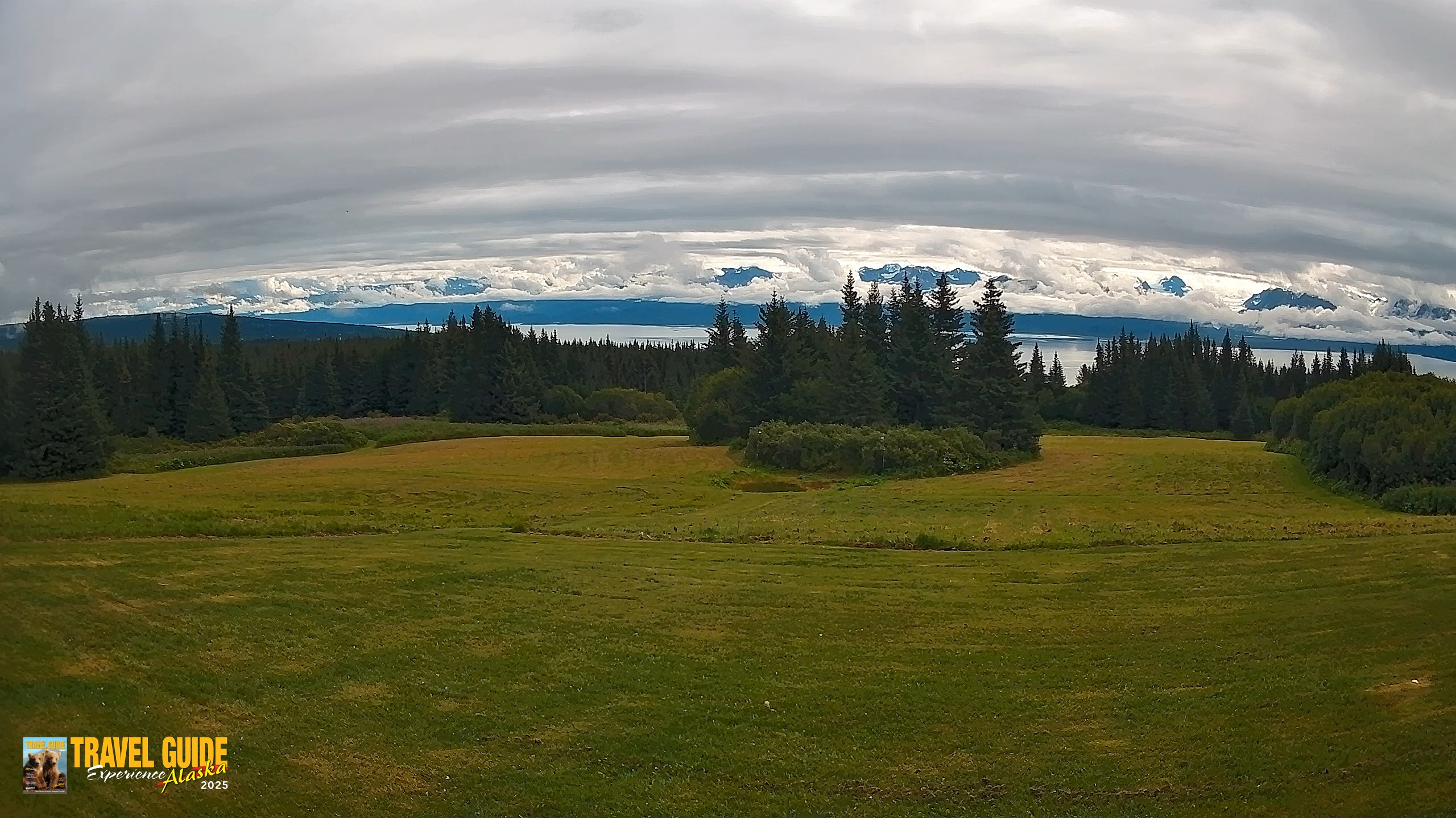 Snapshot of Homer Alaska Northern Lights Live Cam taken Aug 21, 2026, 9:38pm AKDT