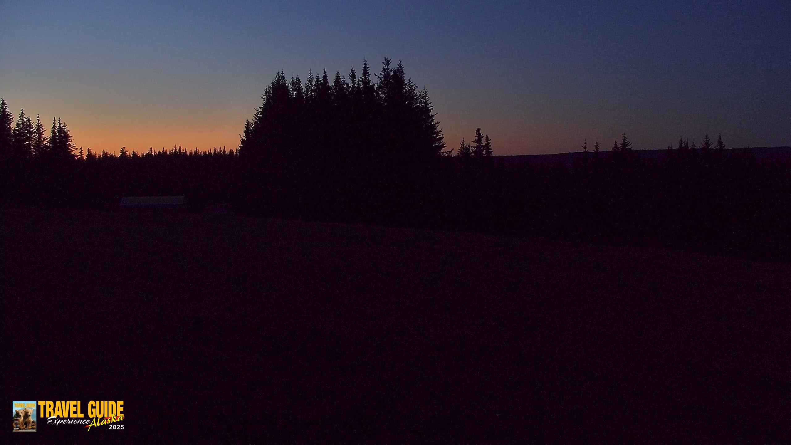 Snapshot of Homer Alaska Northern Lights Live Cam taken Aug 26, 2026, 10:20pm AKDT
