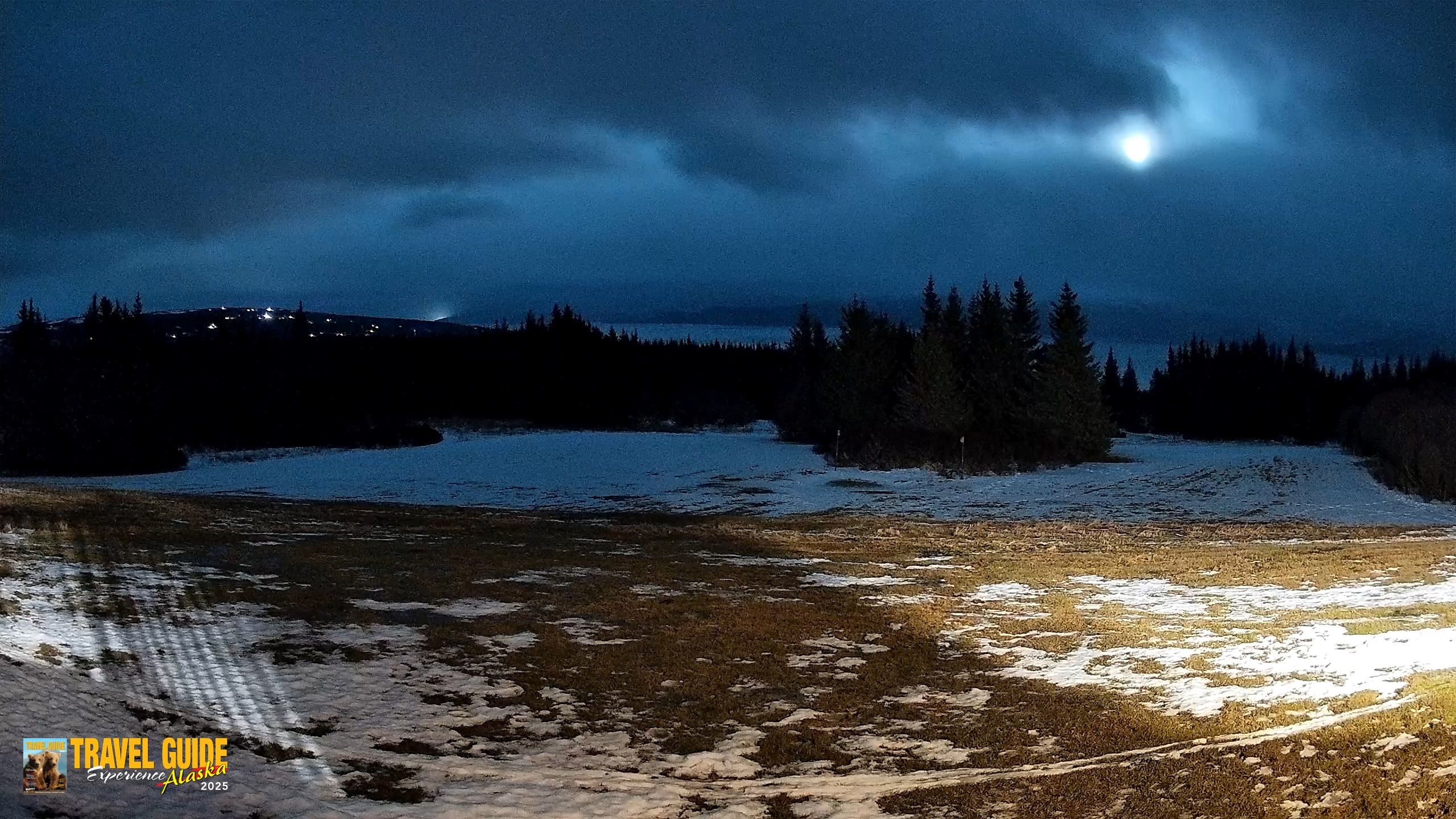 Snapshot of Homer Alaska Northern Lights Live Cam taken Feb 4, 2026, 11:27pm AKST