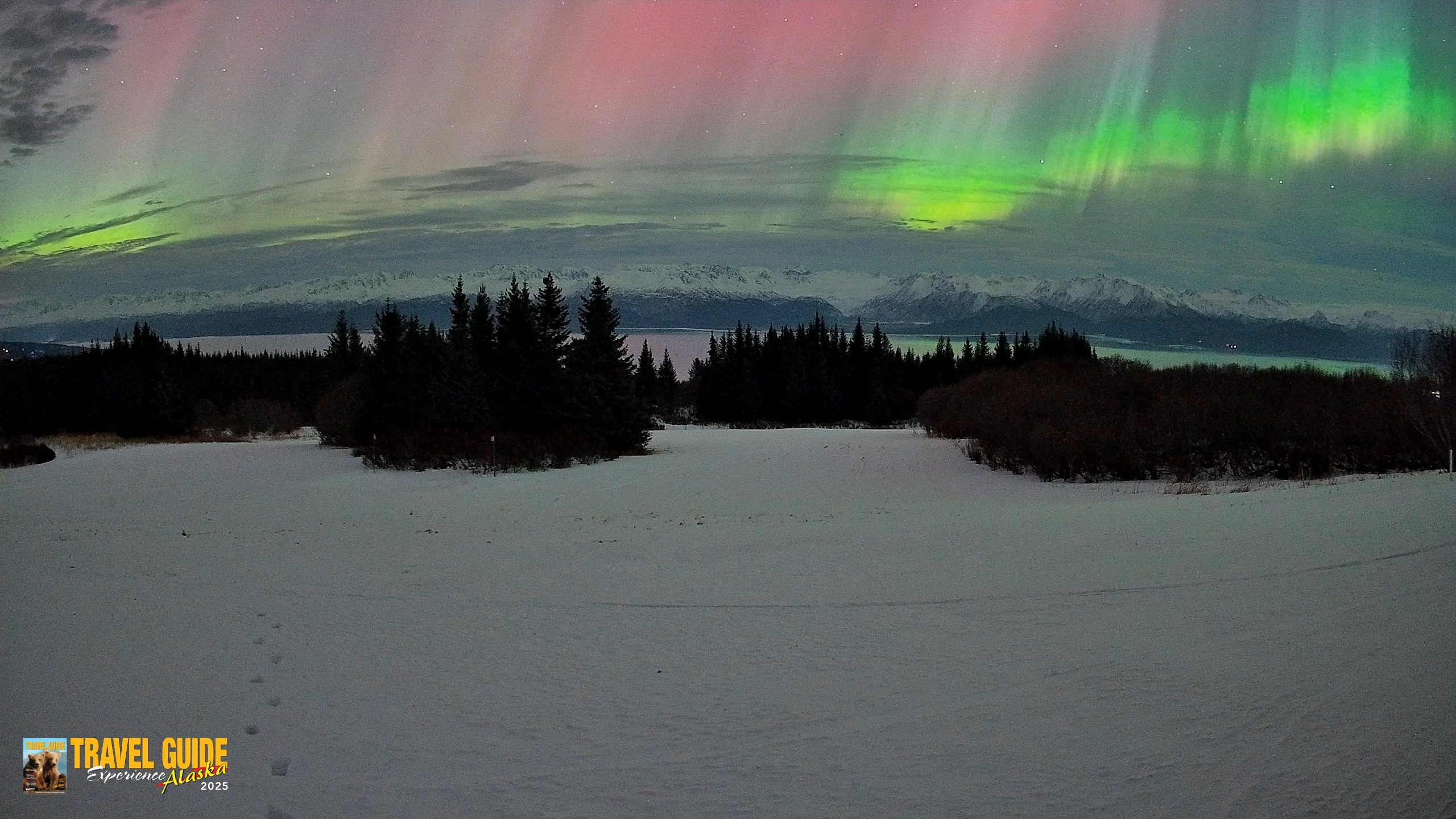 Snapshot of Homer Alaska Northern Lights Live Cam taken Jan 20, 2026, 3:07am AKST