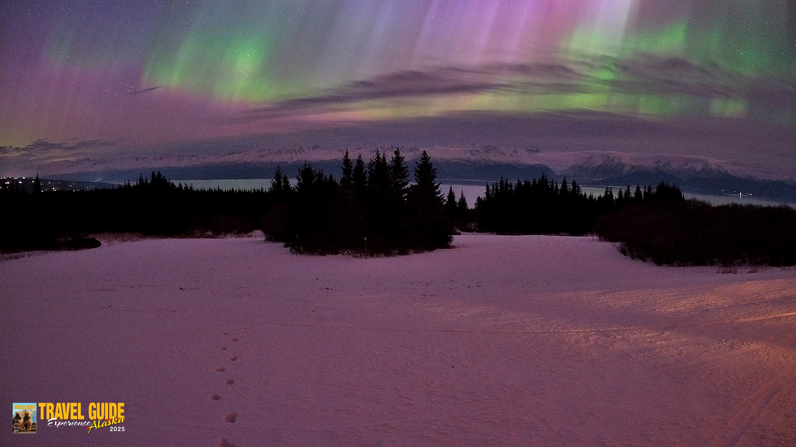 Snapshot of Homer Alaska Northern Lights Live Cam taken Jan 20, 2026, 7:08am AKST