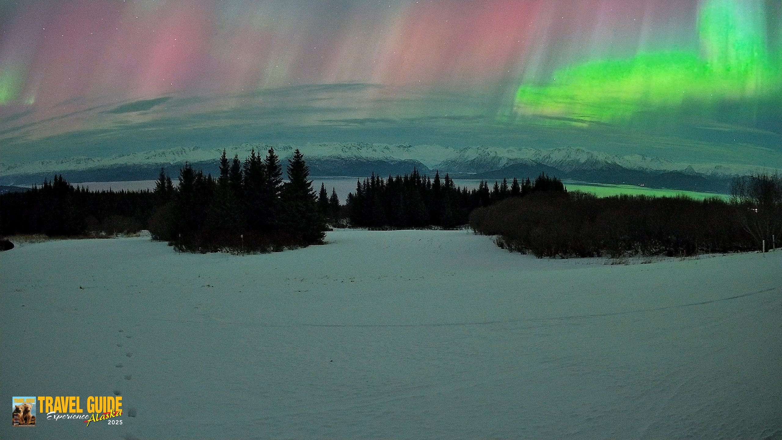 Snapshot of Homer Alaska Northern Lights Live Cam taken Jan 20, 2026, 3:20am AKST