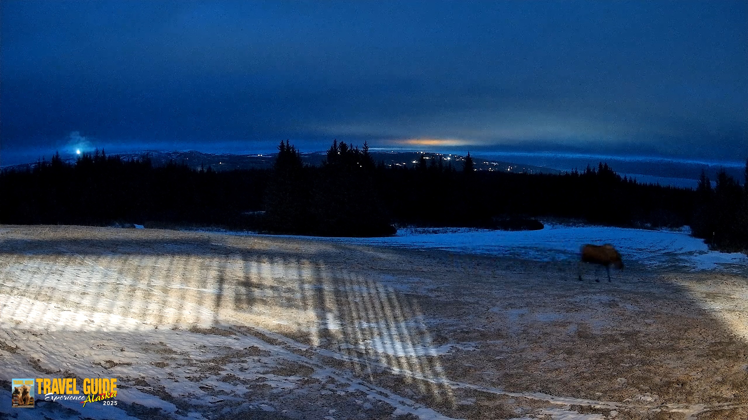 Snapshot of Homer Alaska Northern Lights Live Cam taken Feb 9, 2026, 7:20pm AKST