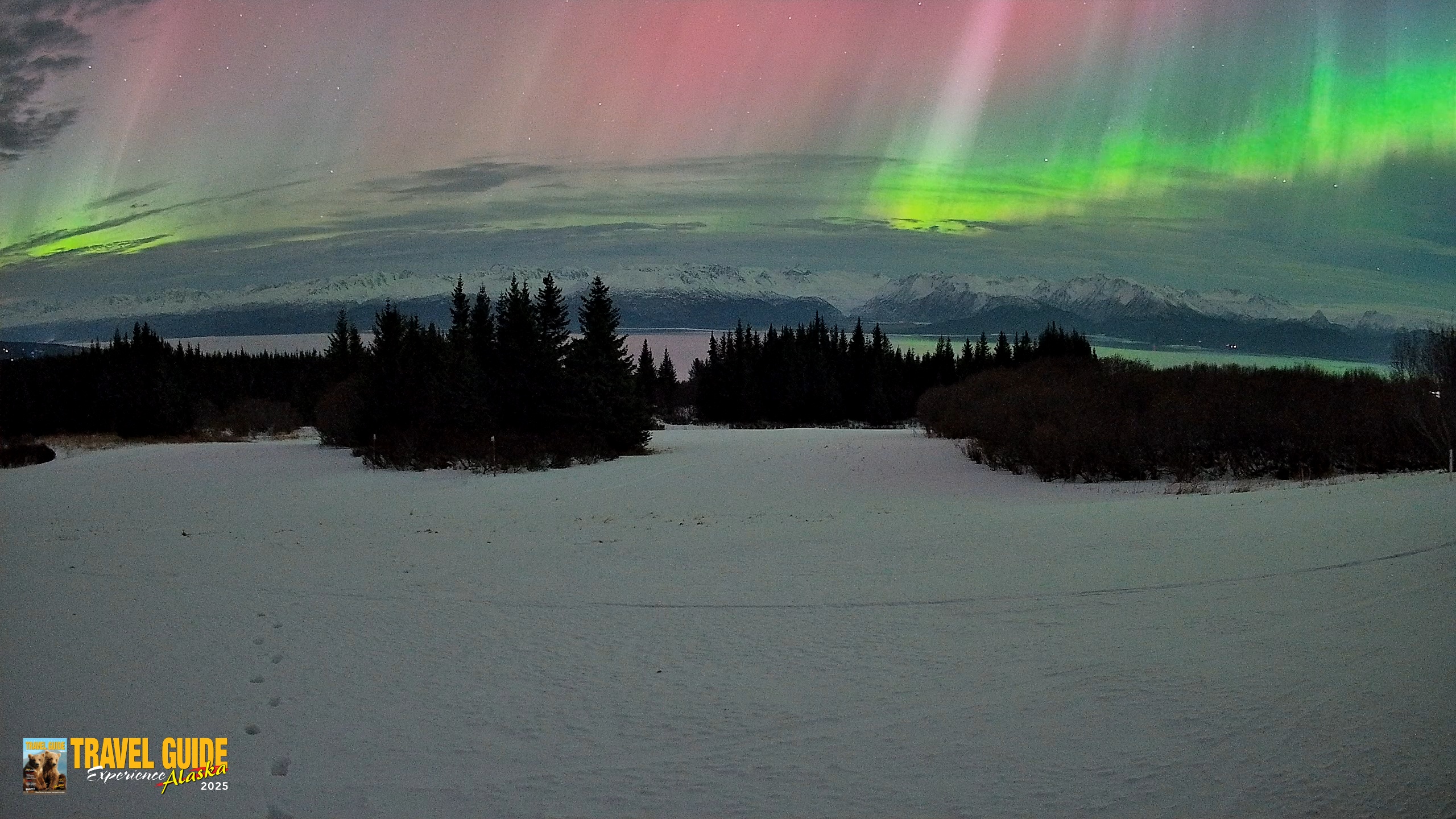 Snapshot of Homer Alaska Northern Lights Live Cam taken Jan 20, 2026, 3:08am AKST