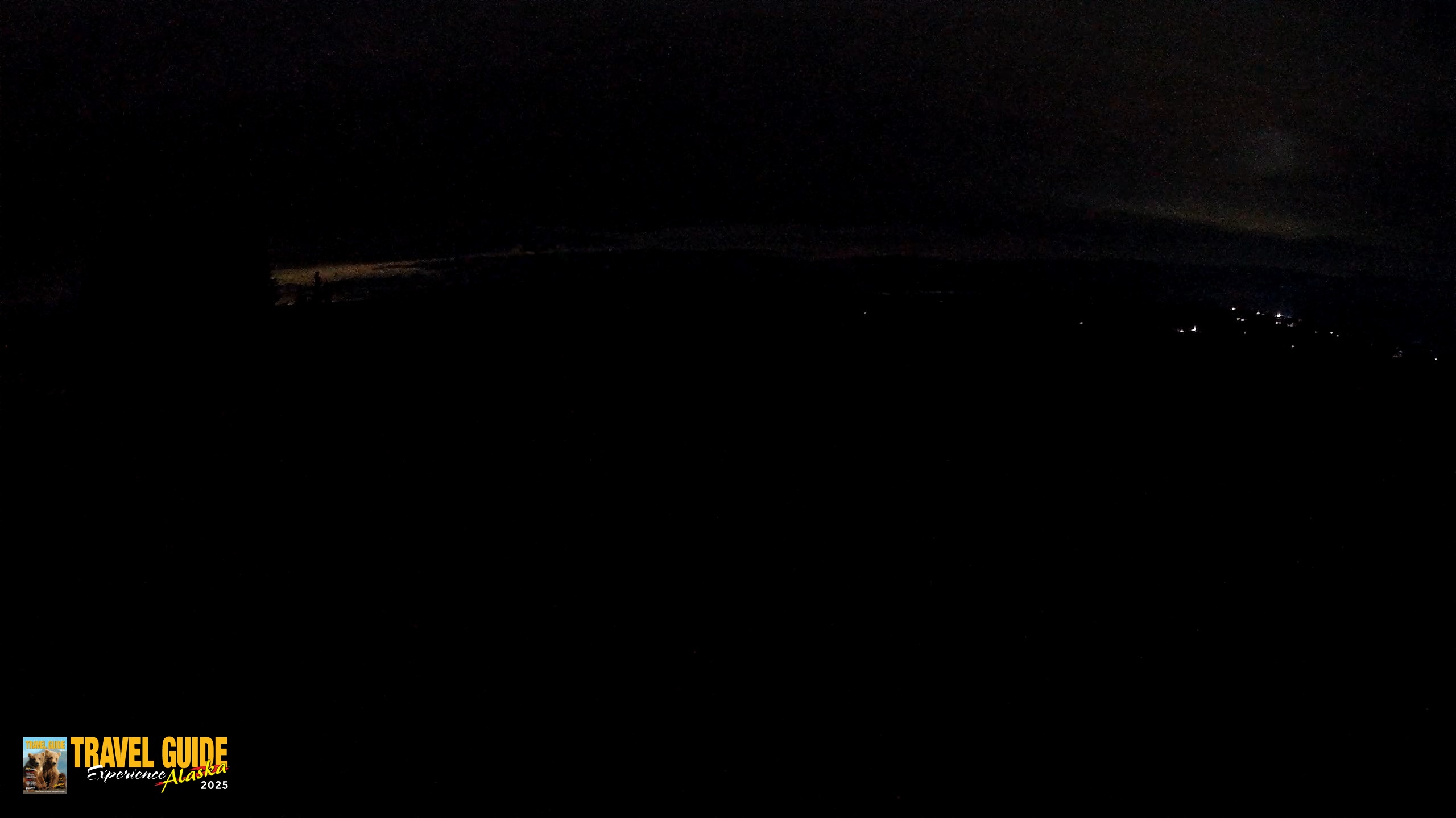 Snapshot of Homer Alaska Northern Lights Live Cam taken Aug 22, 2026, 3:42am AKDT