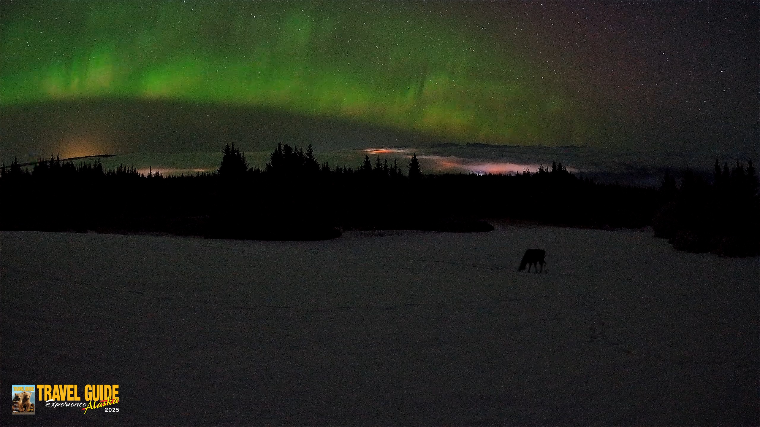 Snapshot of Homer Alaska Northern Lights Live Cam taken Feb 19, 2026, 3:48am AKST
