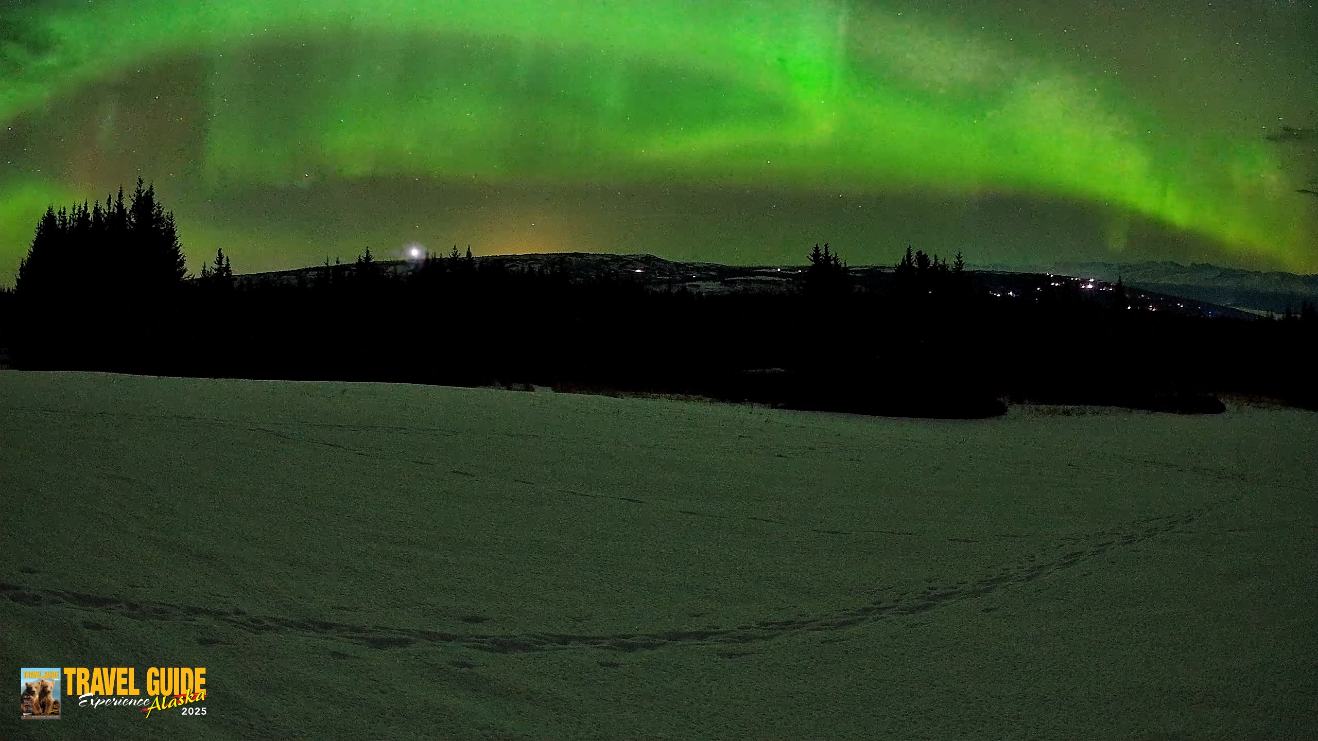 Snapshot of Homer Alaska Northern Lights Live Cam taken Feb 22, 2026, 5:16am AKST