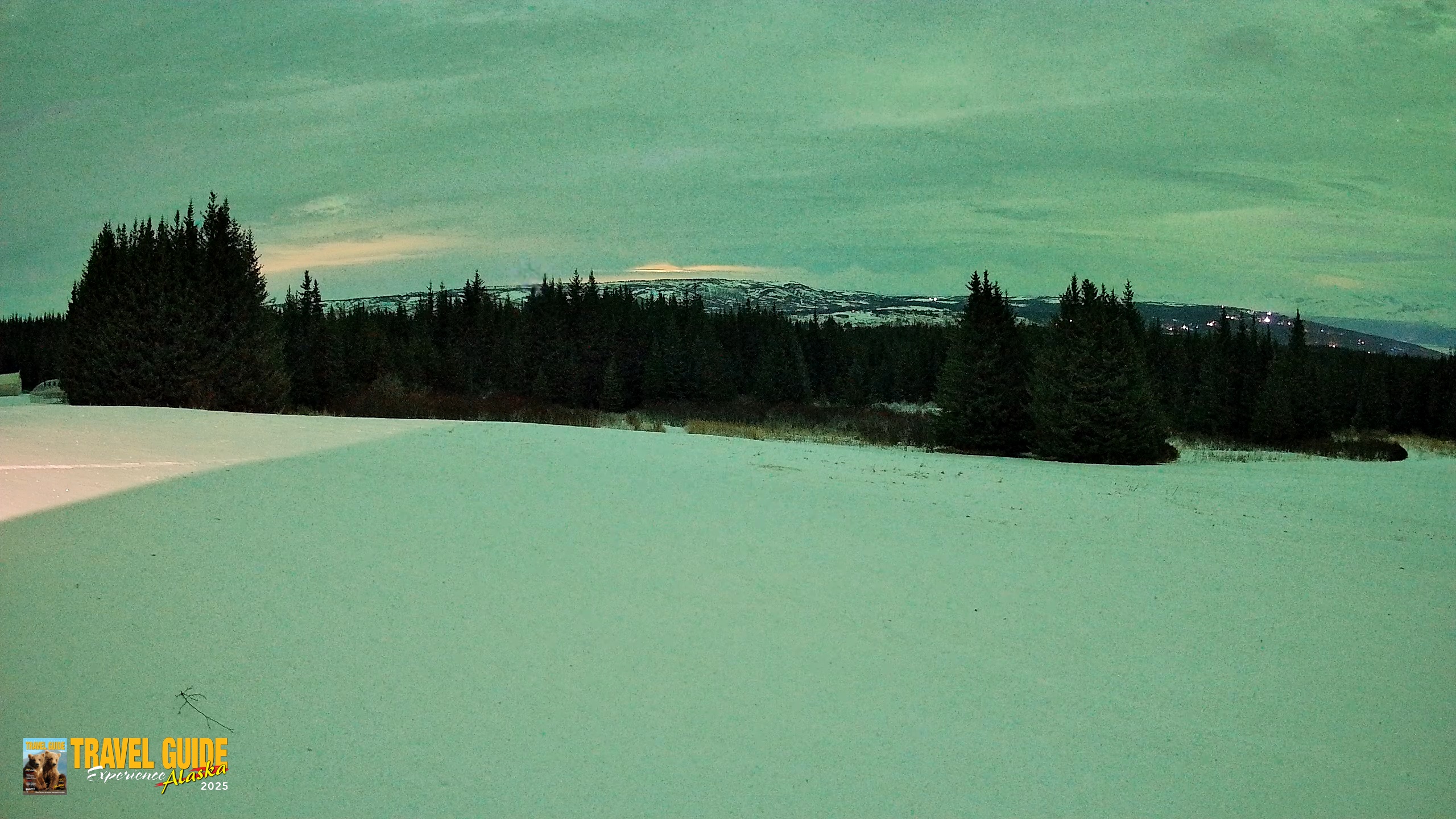 Snapshot of Homer Alaska Northern Lights Live Cam taken Jan 20, 2026, 12:46am AKST