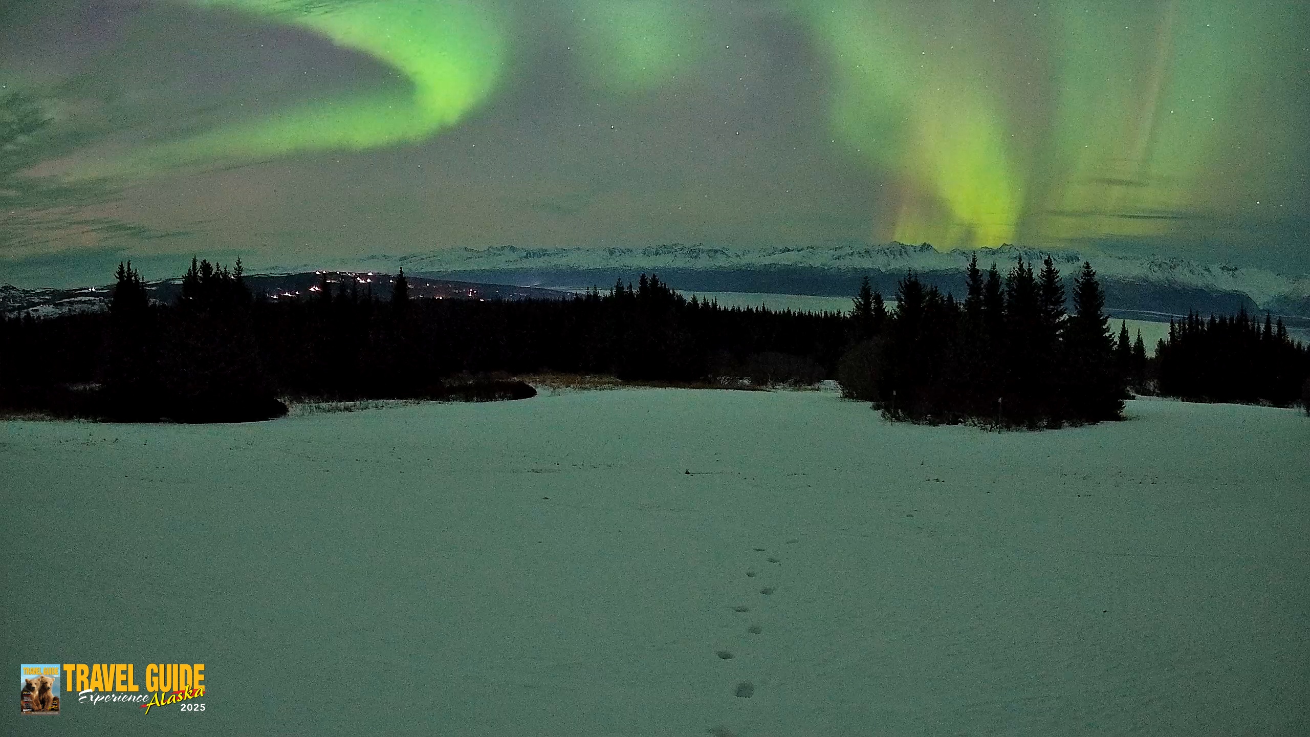 Snapshot of Homer Alaska Northern Lights Live Cam taken Jan 20, 2026, 10:25pm AKST